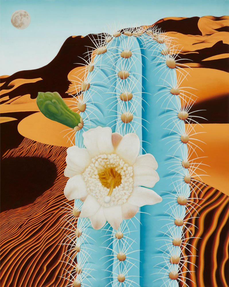 Luna Turquesa