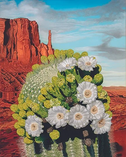 Badlands