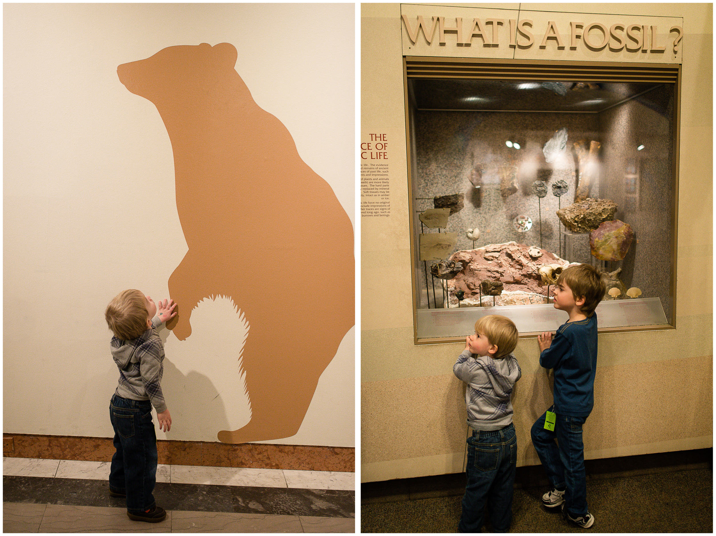 museum 1.jpg