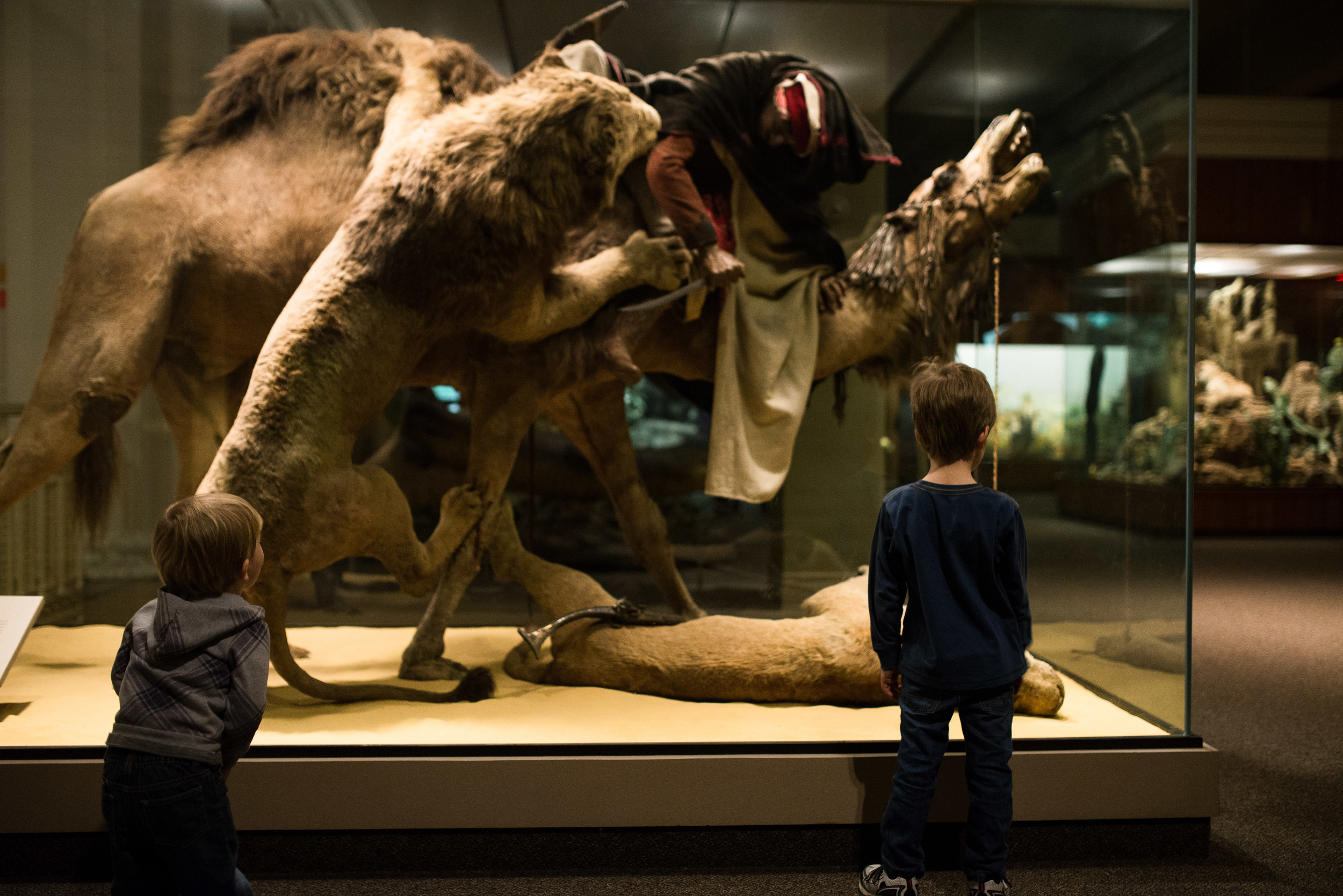 20150328-DSC_9712.jpg