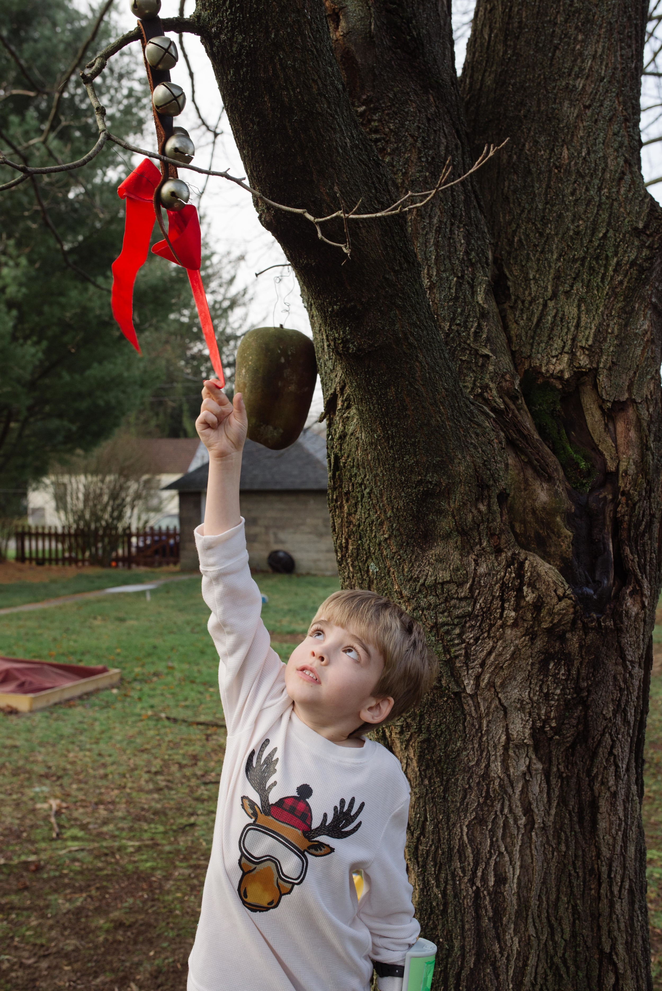 20151225-DSC_4260.jpg