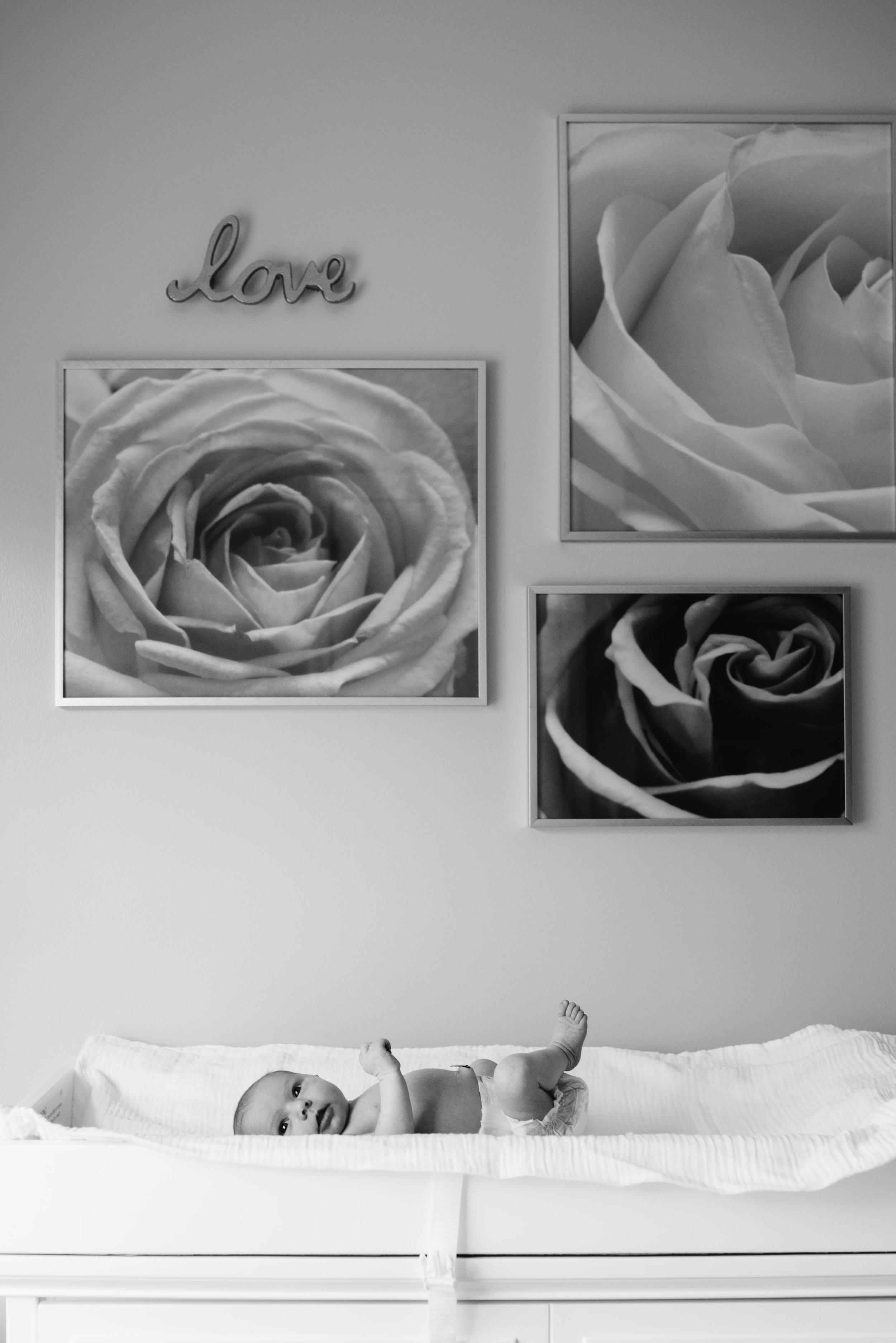 Newborn Photographer Ligonier PA.jpg