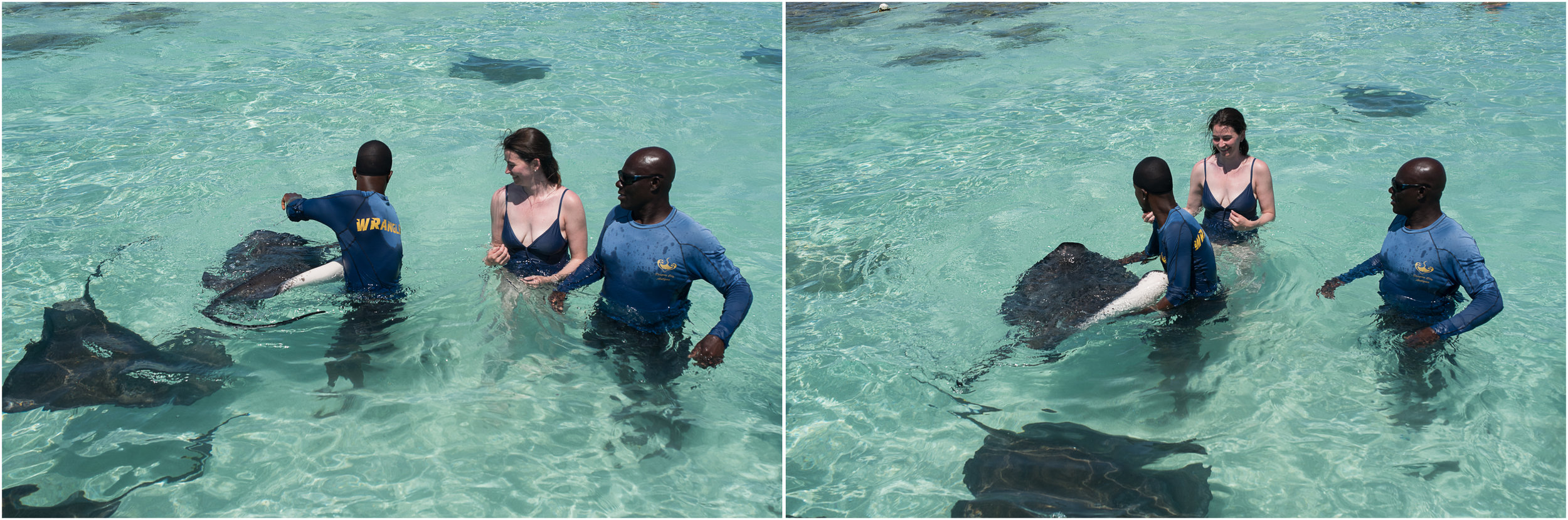 stingray city antigua.jpg