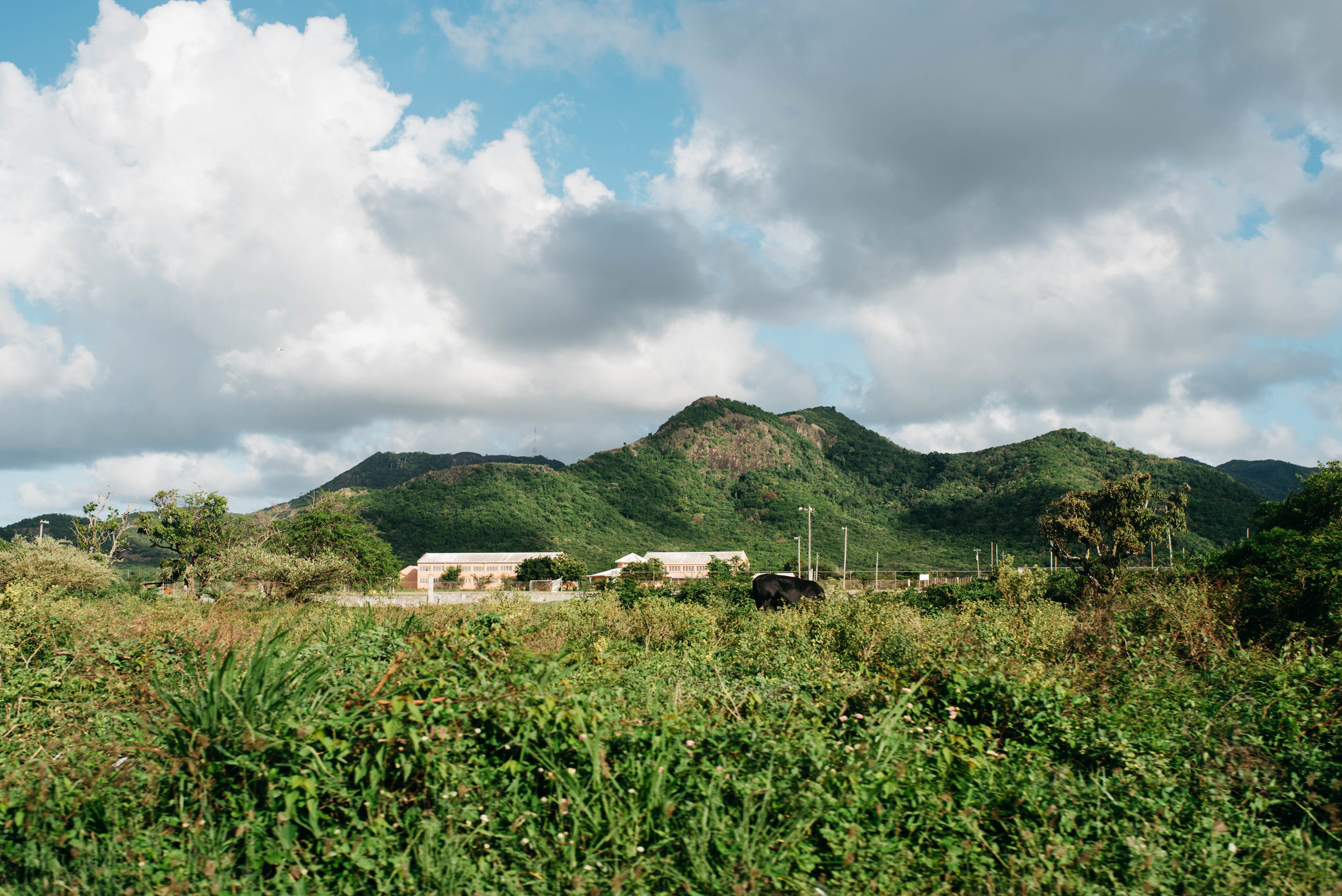 antigua jolly bay.jpg