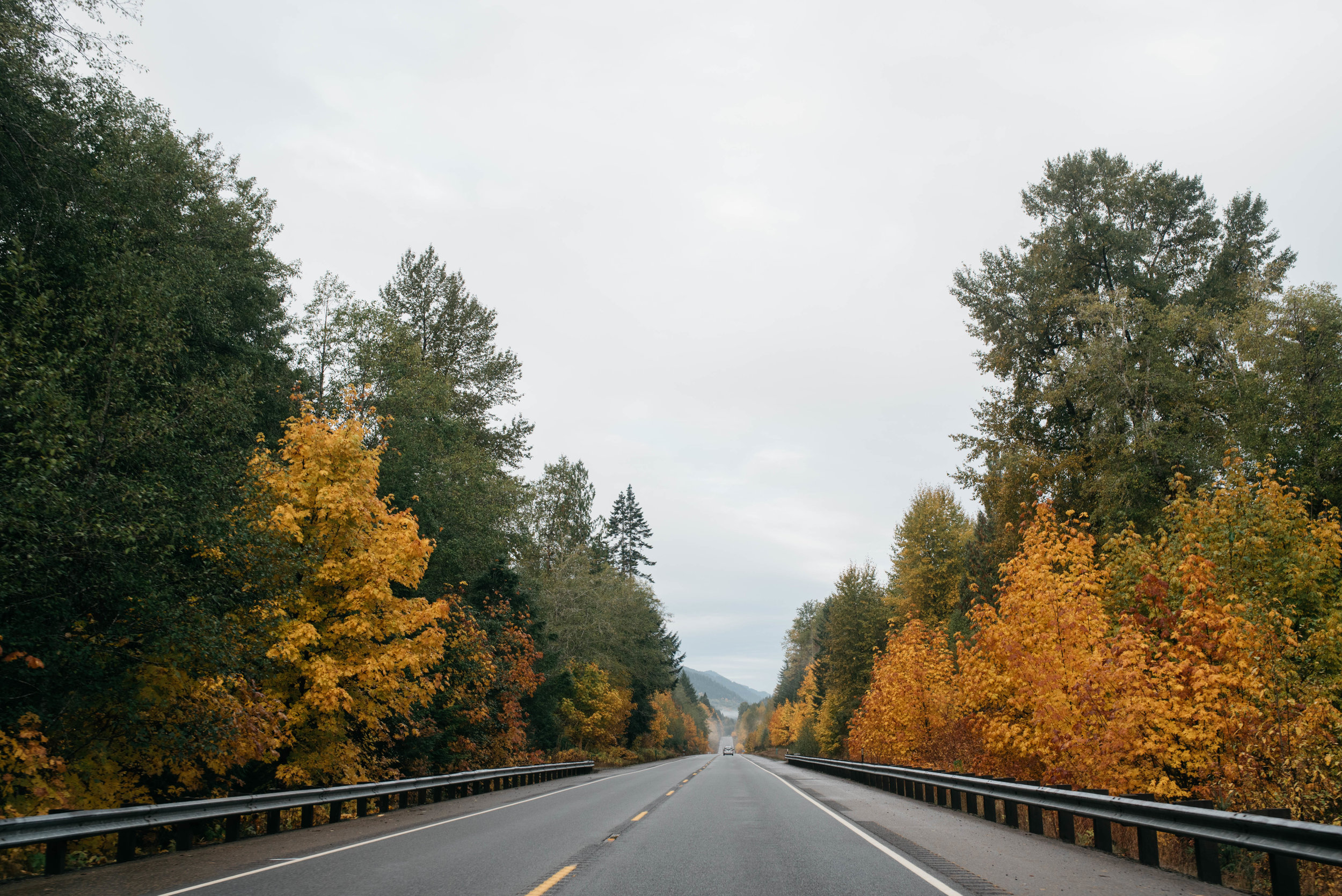 Olympic National Park, travel photography, mariah fisher-1.jpg