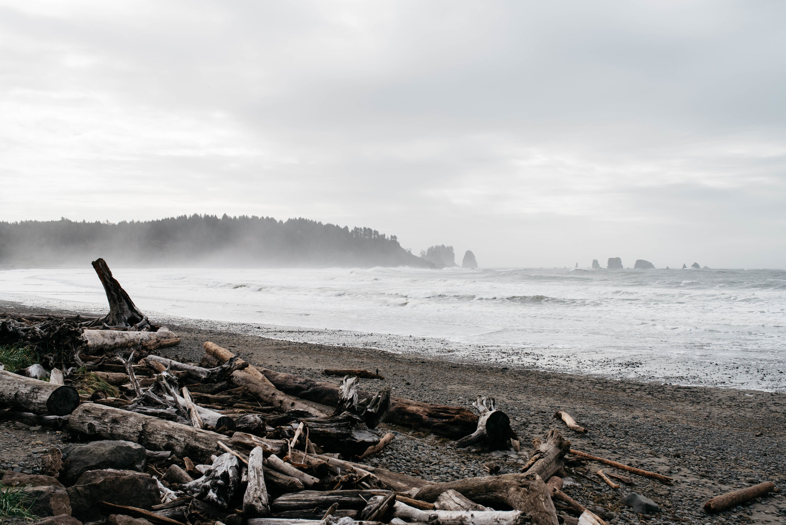Olympic National Park, travel photography, mariah fisher-3.jpg