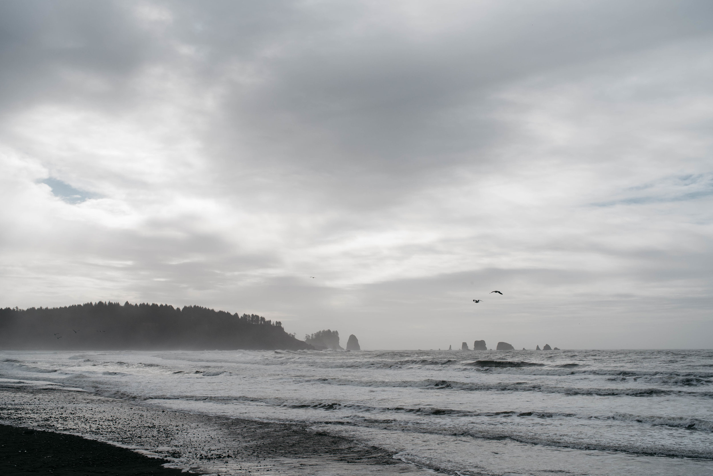 Olympic National Park First Beach Travel photography-1002.jpg