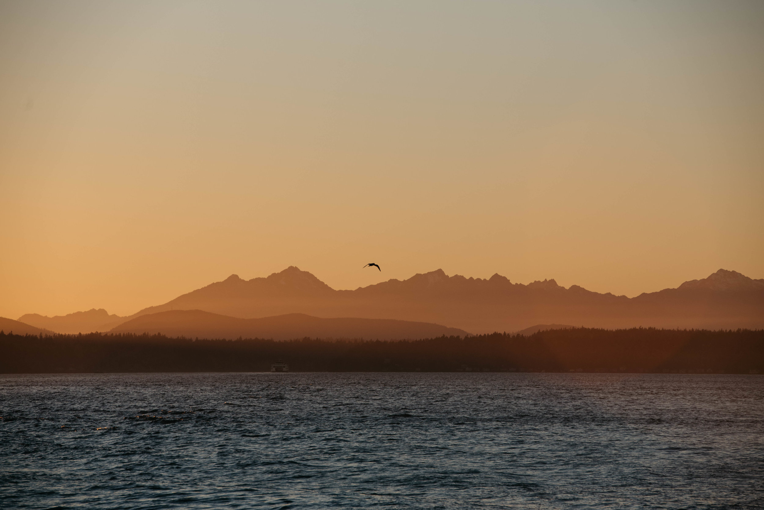 Seattle Ferry Travel photography mariah fisher-4.jpg