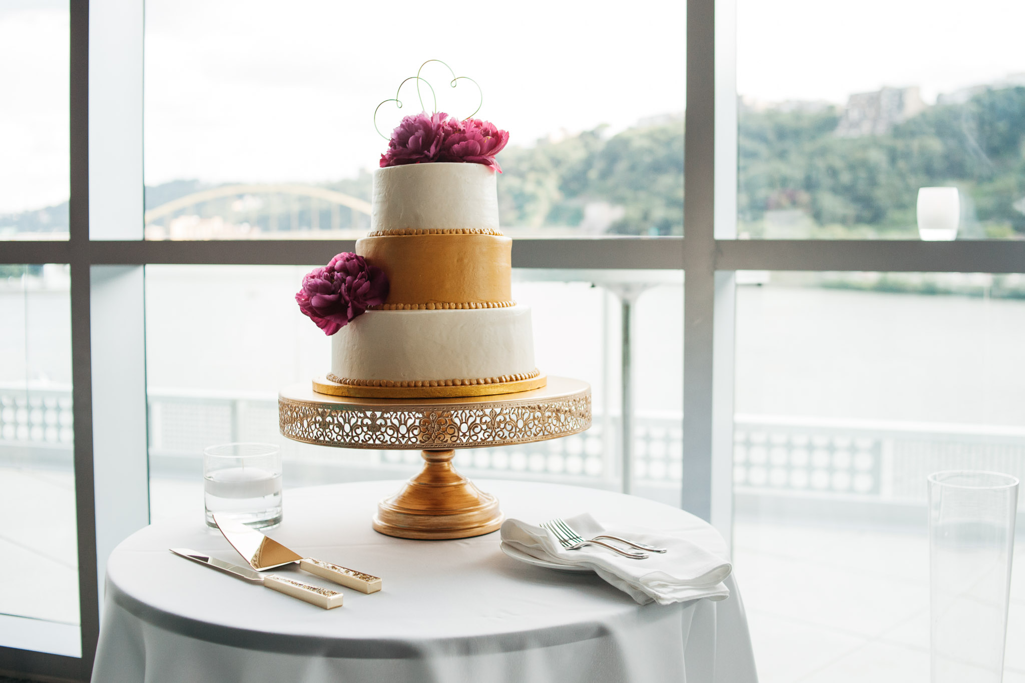 Carnegie Science Center Wedding, cake Pointview Hall, Pittsburgh wedding Mariah Fisher-0348.jpg