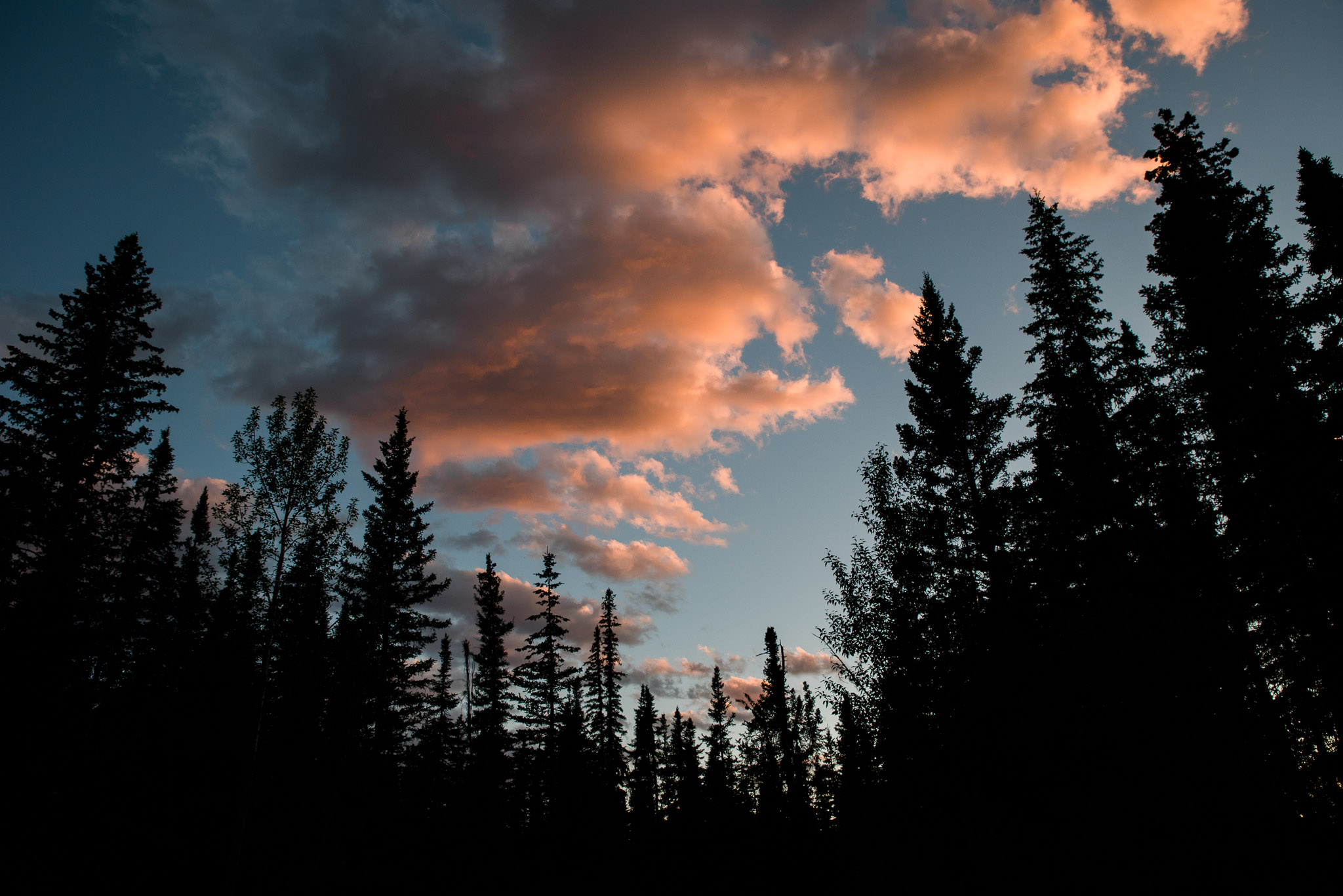 Canada, Jasper National Park, Mariah Fisher Photography-2050.jpg