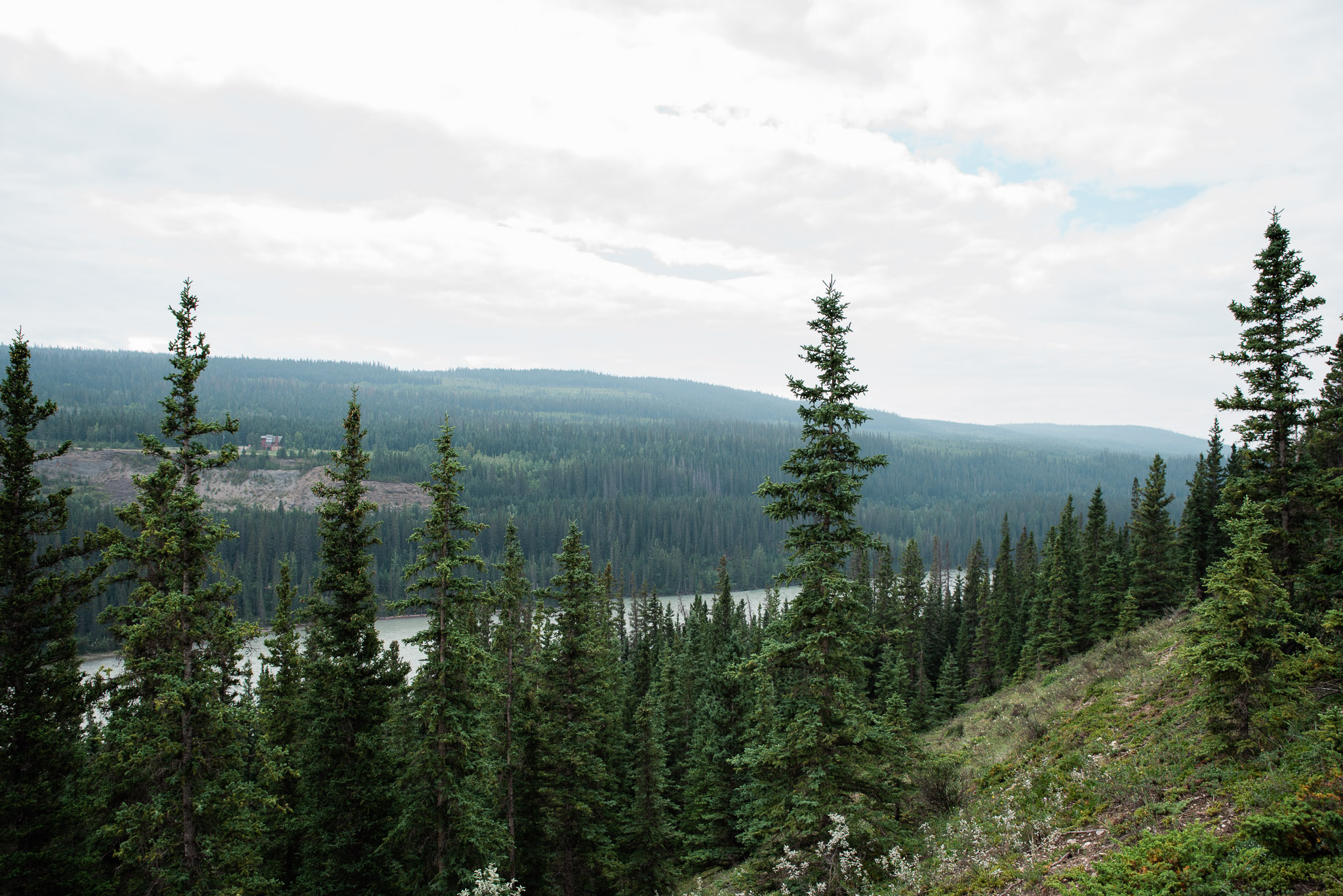 Jasper National Park, Canada, Mariah Fisher Photography-2071.jpg