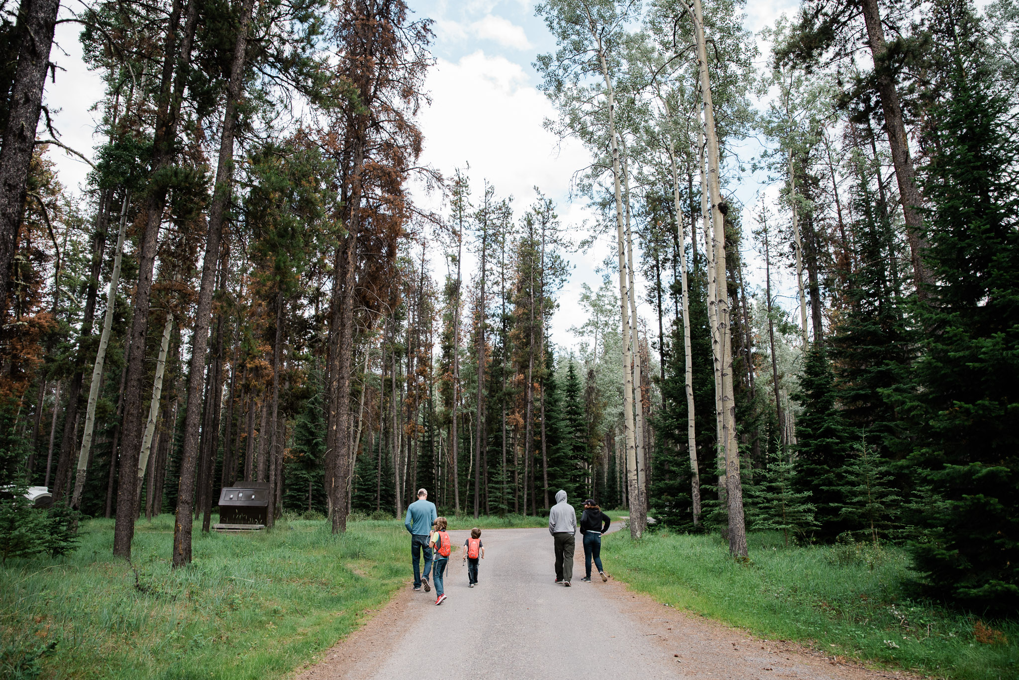 Jasper National Park, Canada, Mariah Fisher Photography-2165.jpg