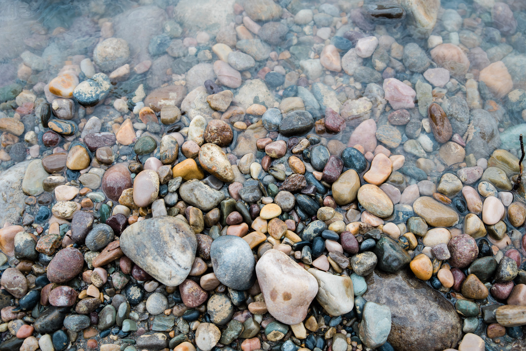 Athabasca River, Jasper National Park, Canada, Mariah Fisher Photography-2193.jpg