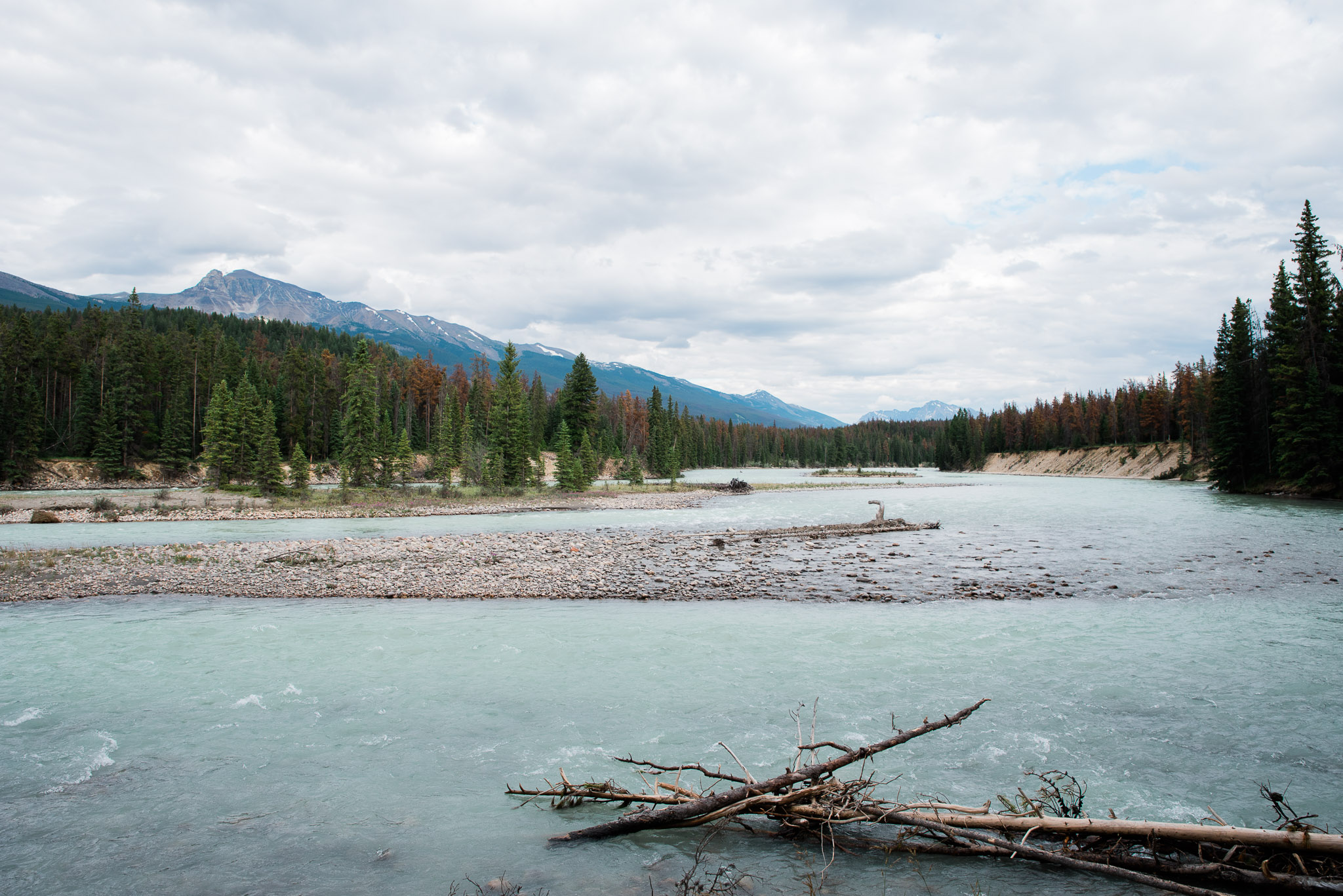 Athabasca River, Jasper National Park, Canada, Mariah Fisher Photography-2197.jpg