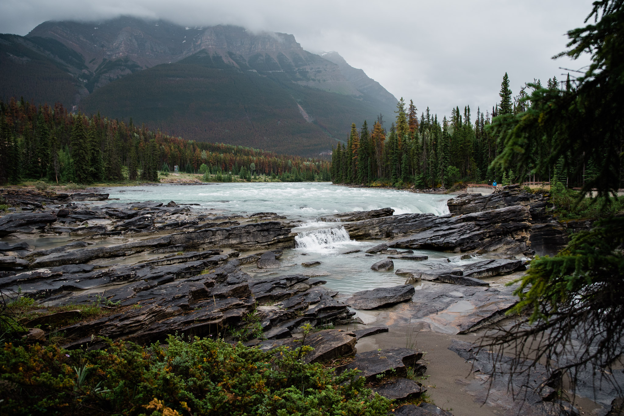 Athabasca Falls, Jasper , Canada, Mariah Fisher Photography-2270.jpg