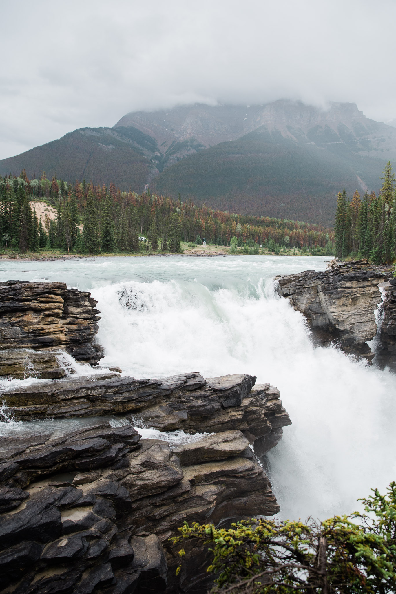 Athabasca Falls, Jasper , Canada, Mariah Fisher Photography-2273.jpg