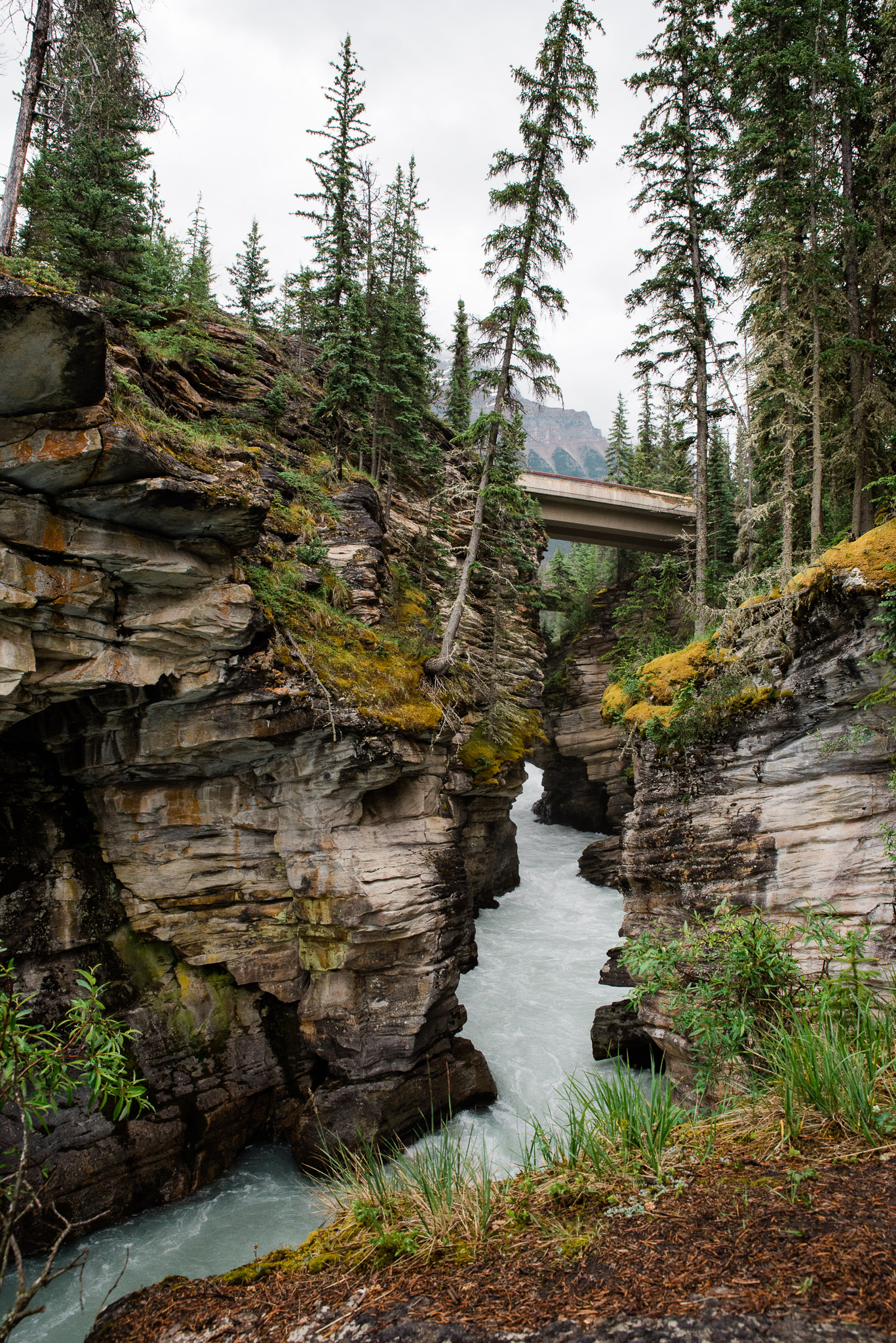 Athabasca Falls, Jasper , Canada, Mariah Fisher Photography-2305.jpg