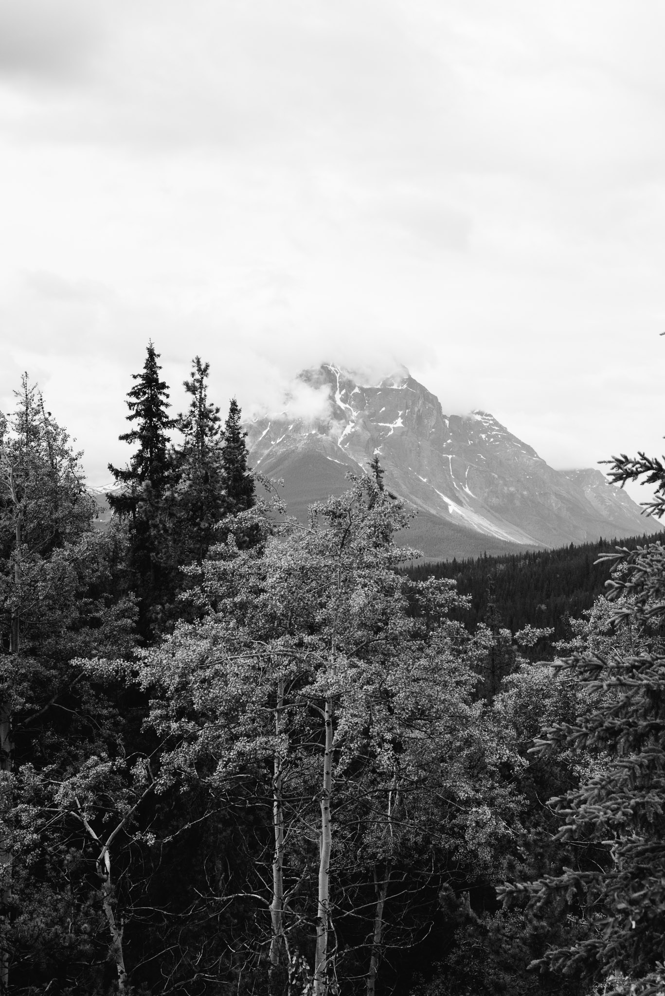 Jasper National Park, Canada, Mariah Fisher Photography-2340.jpg