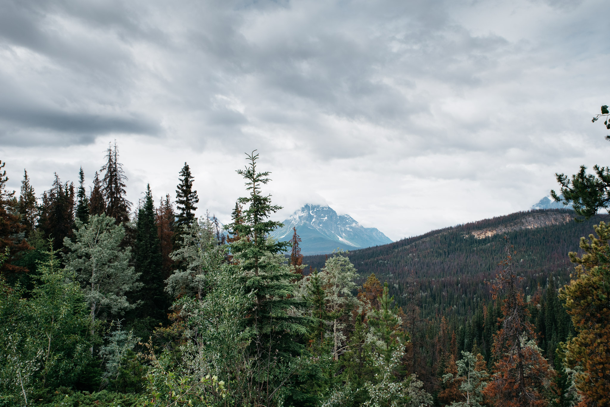 Jasper National Park, Canada, Mariah Fisher Photography-2357.jpg