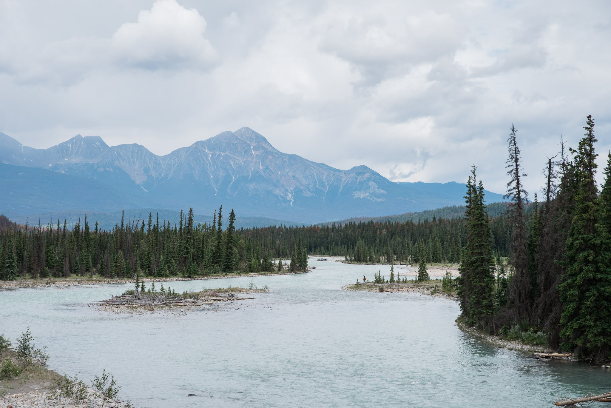 Jasper National Park, Canada, Mariah Fisher Photography-2387.jpg