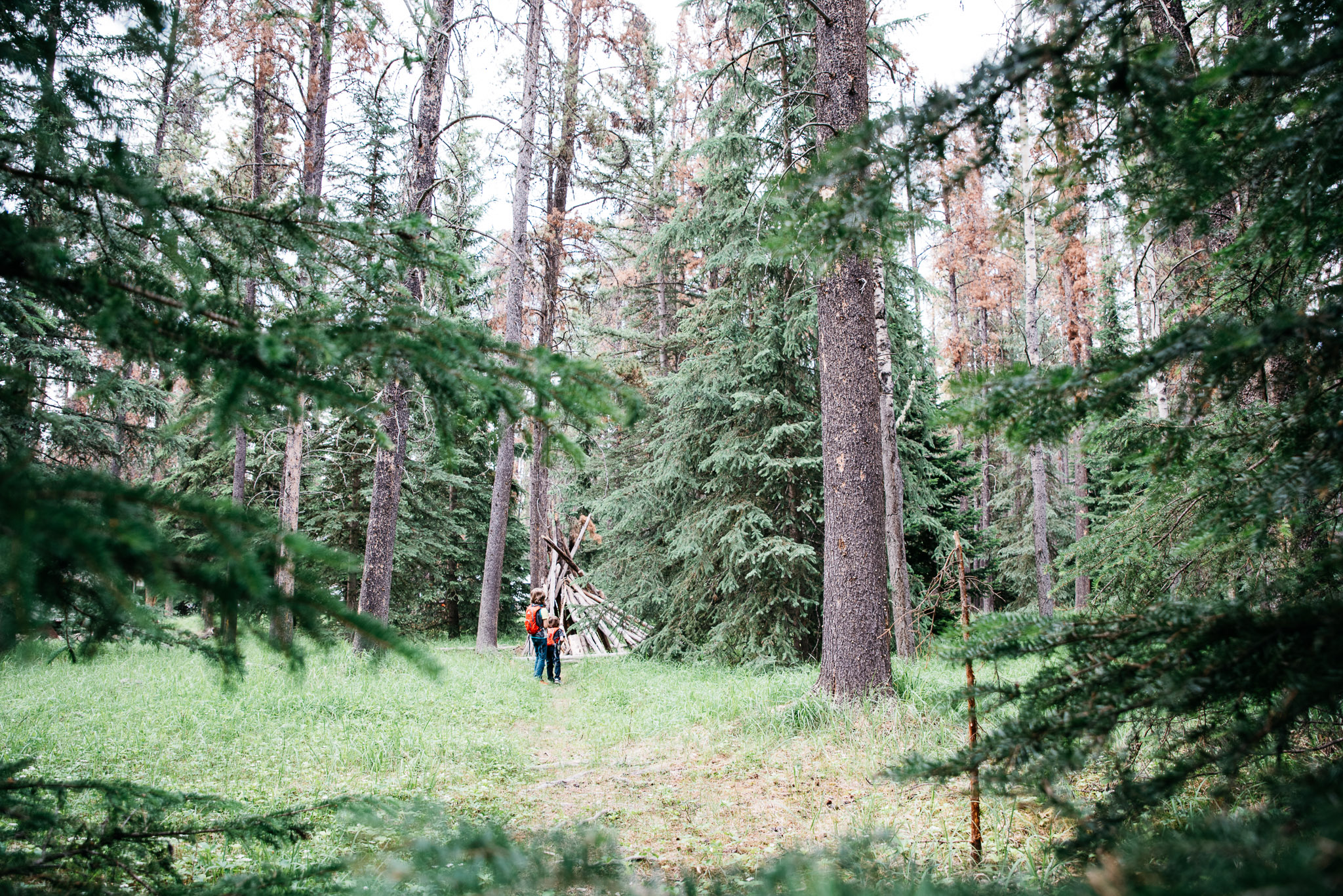 Jasper National Park, Edmonton, Alberta Canada, Mariah Fisher Photography-2153.jpg