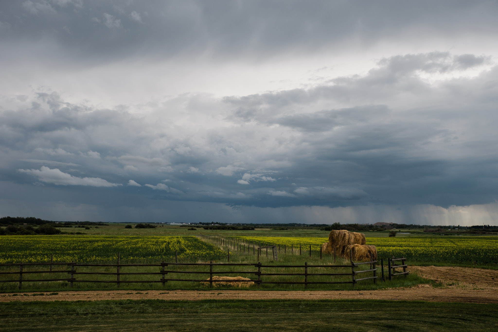 Edmonton, Alberta Canada, Mariah Fisher Photography-2914.jpg