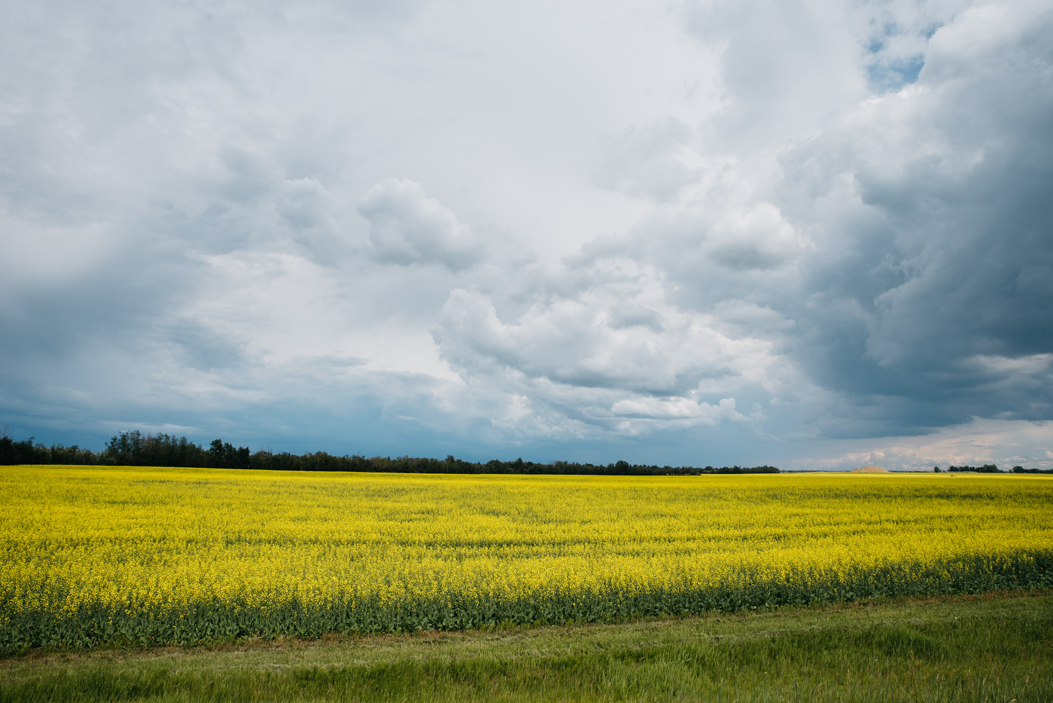 Edmonton, Alberta Canada, Mariah Fisher Photography-2911.jpg