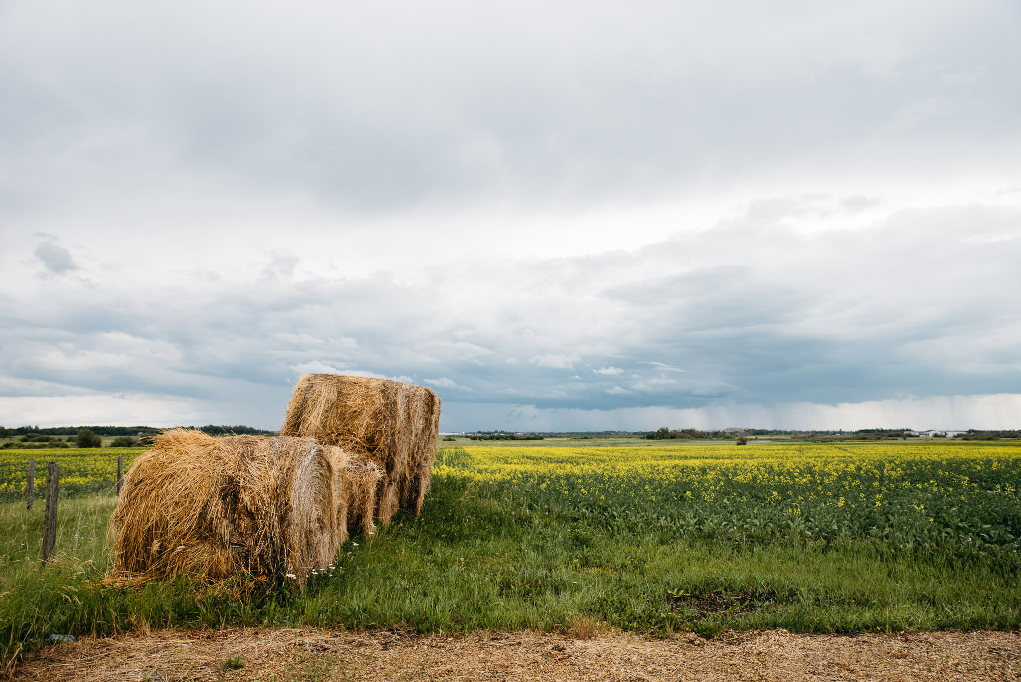 Edmonton, Alberta Canada, Mariah Fisher Photography-2916.jpg