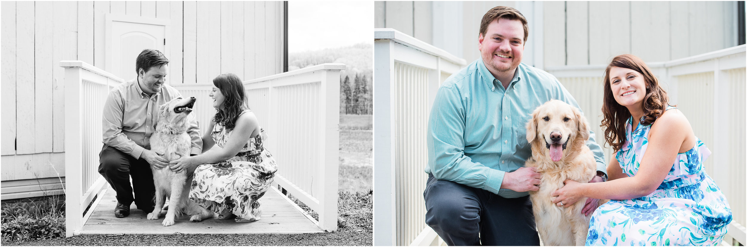 Bring your dog to your engagement session! Ligonier PA.jpg