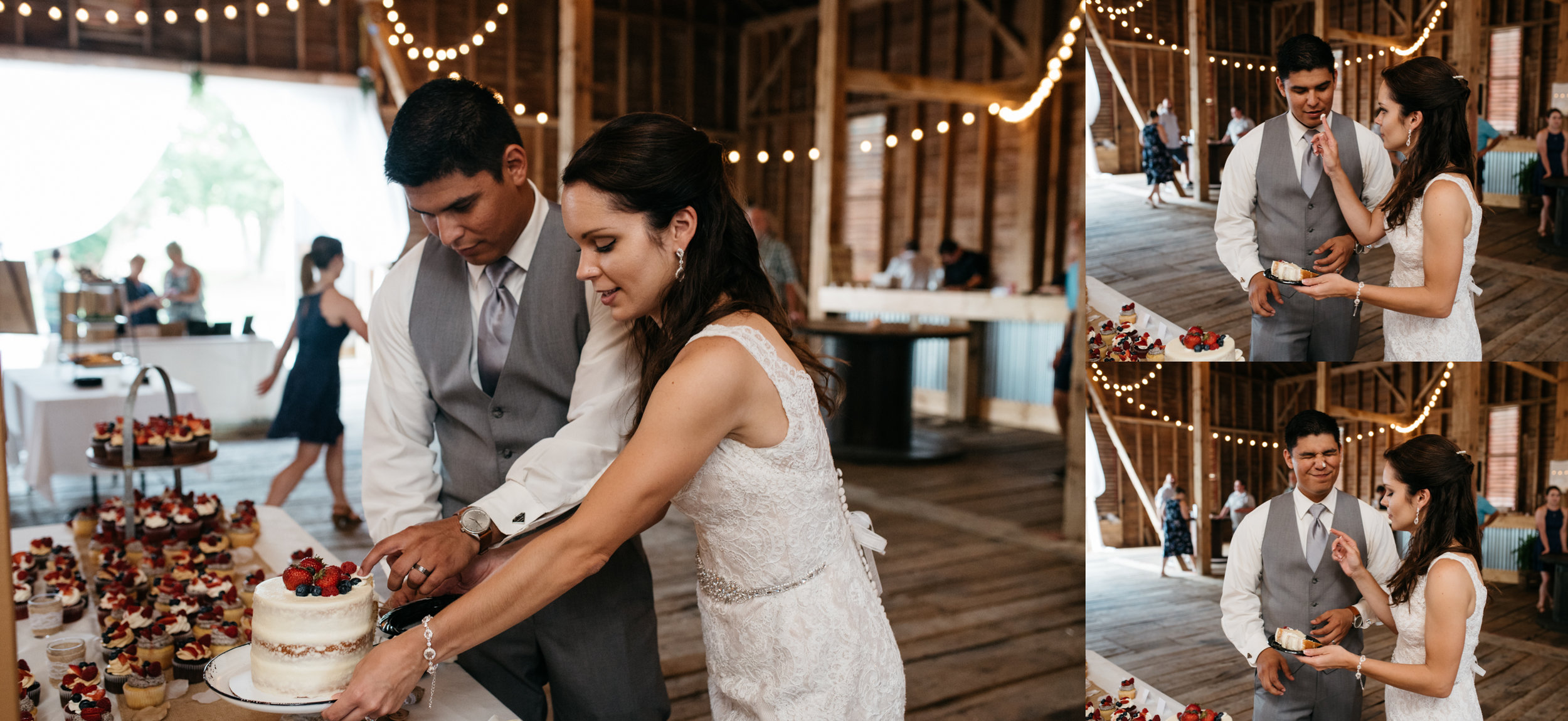 Cake Cutting, Pittsburgh Wedding Photographer.jpg