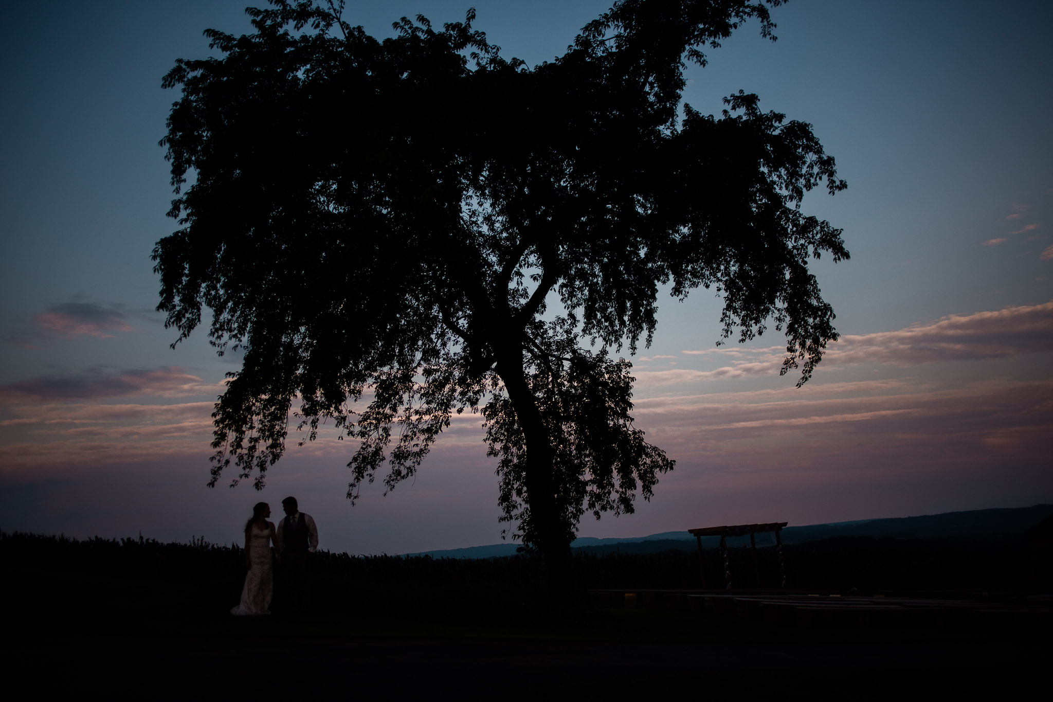 Sunset Wedding Portraits, Pittsburgh Wedding Photographer, The Event Barn at Highland Farms, Somerset PA-7008.jpg