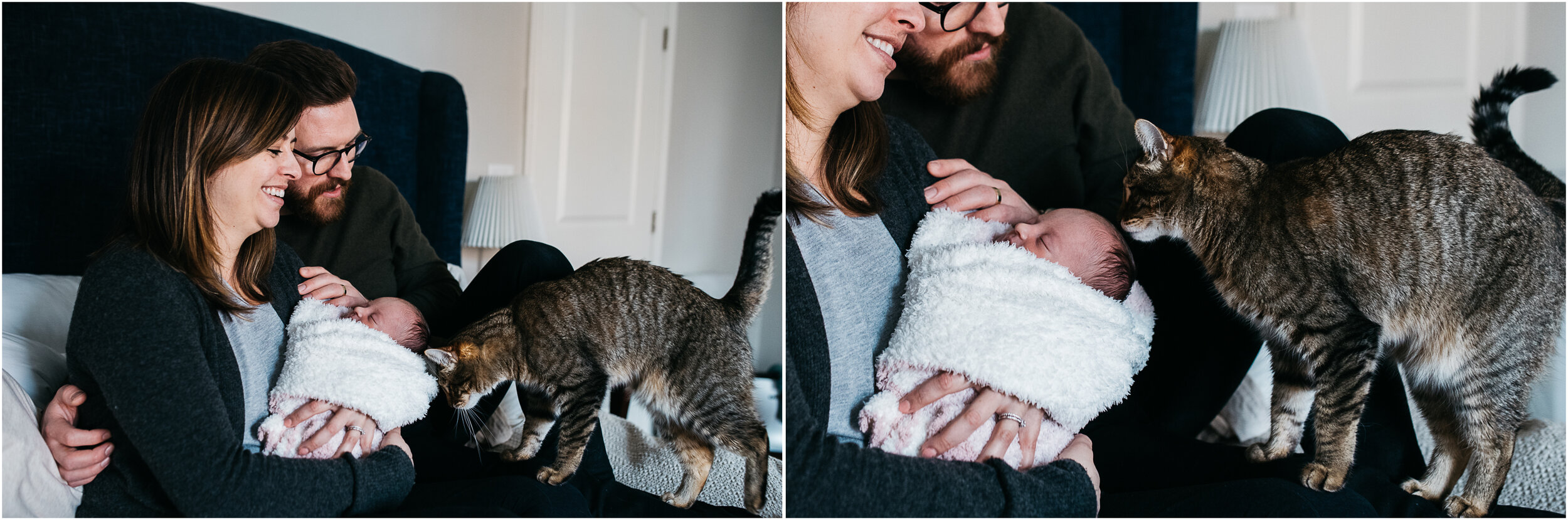 cat greeting the baby, newborn family portraits.jpg