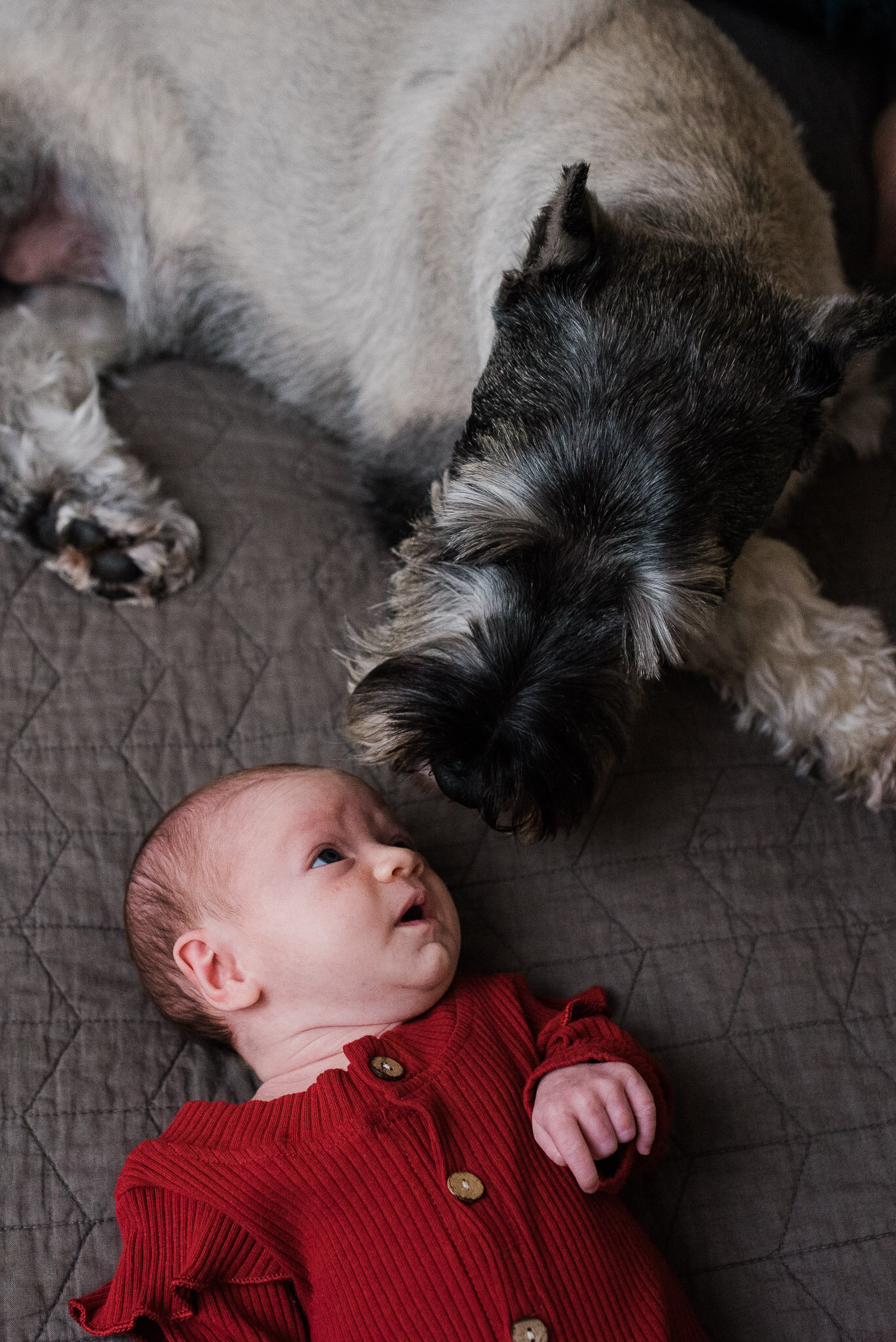 Pittsburgh Newborn Photographer, Mariah Fisher-4000.jpg