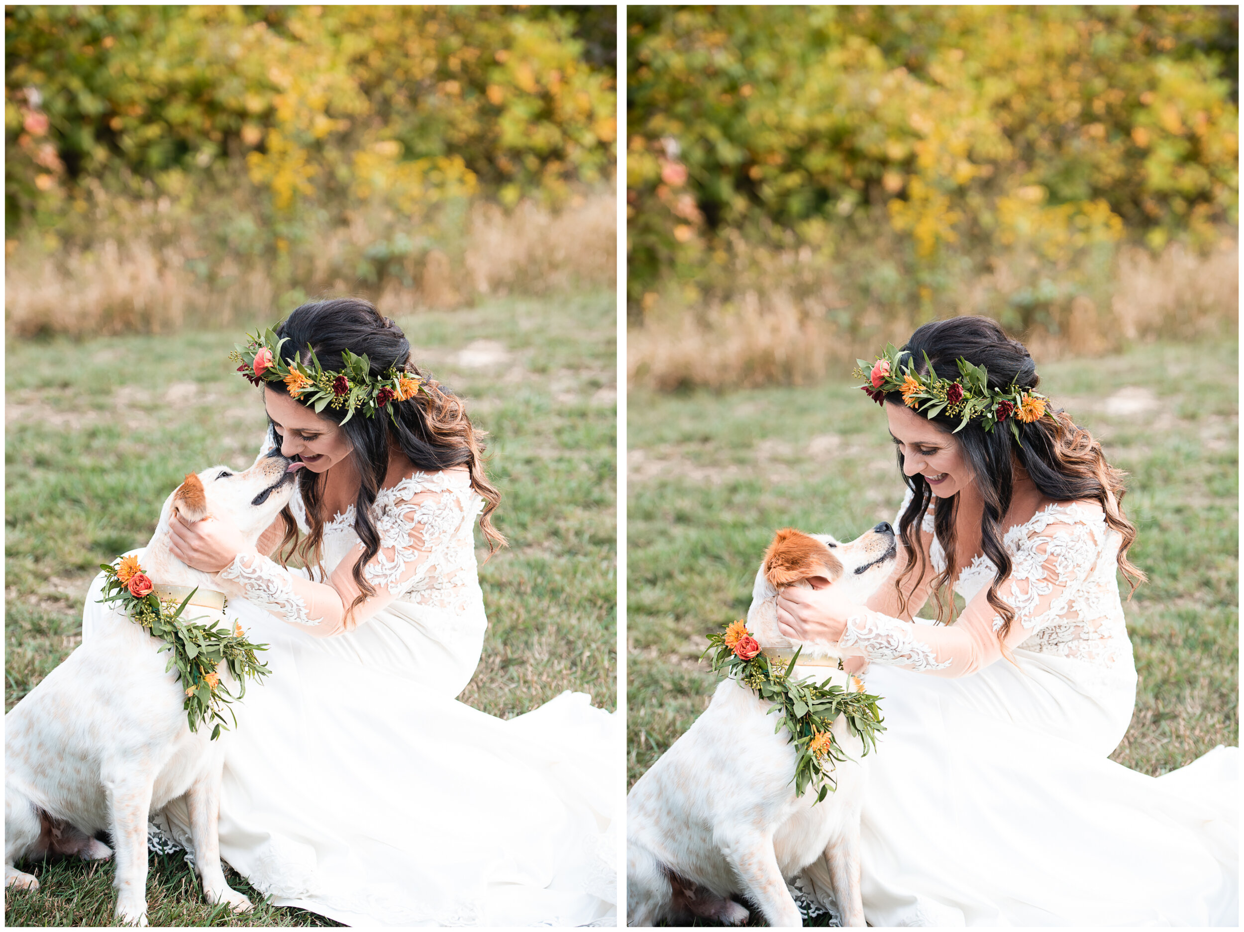 bride and dog wedding portraits, mariah fisher photography.jpg