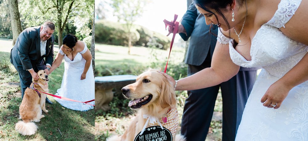 dog as bridal party, pittsburgh photography.jpg