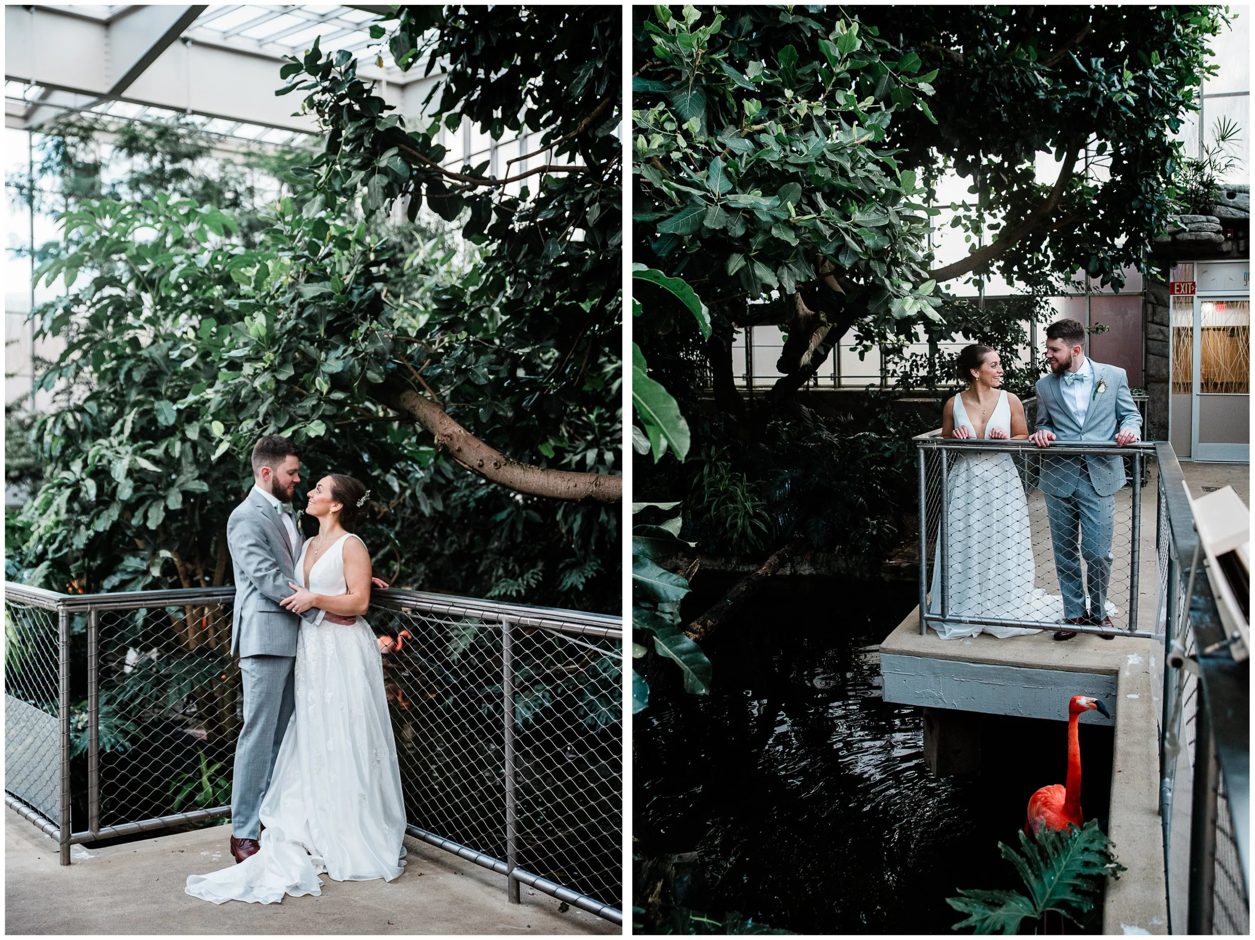 National Aviary, Pittsburgh Wedding Photographer.jpg