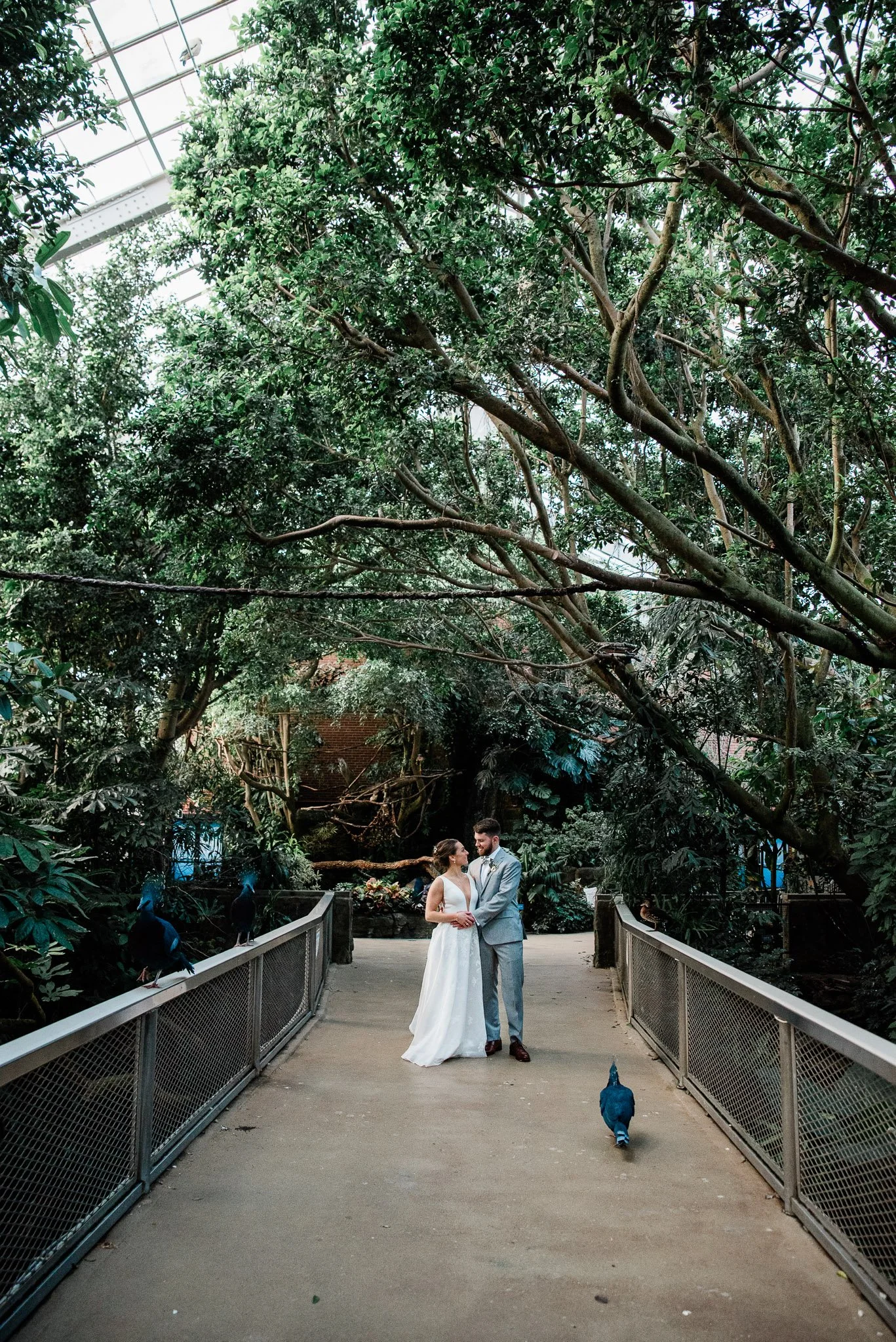 National Aviary, Pittsburgh Wedding Photography, Mariah Fisher-8518.jpg