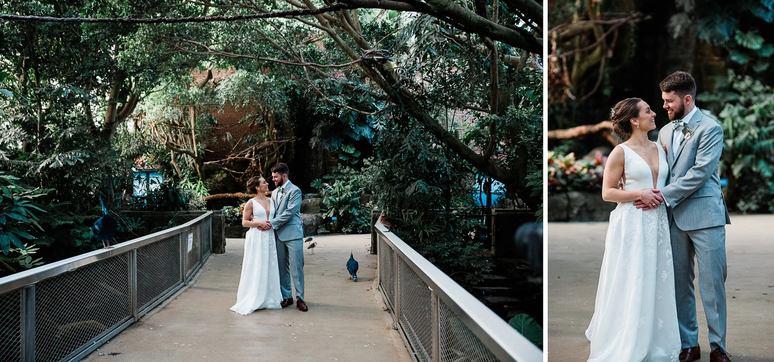National Aviary Wedding, Mariah Fisher Photography.jpg