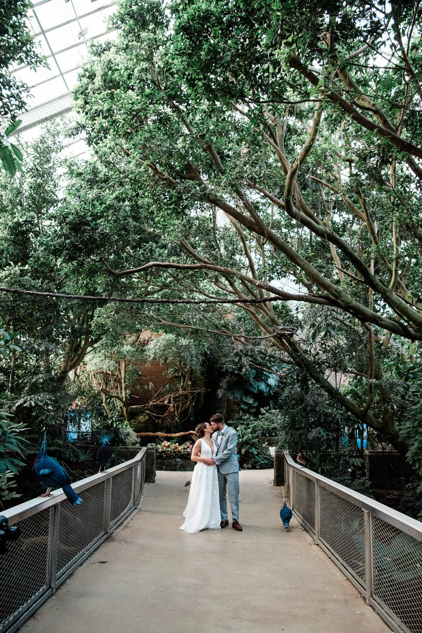 National Aviary, Pittsburgh Wedding Photography, Mariah Fisher-8524.jpg