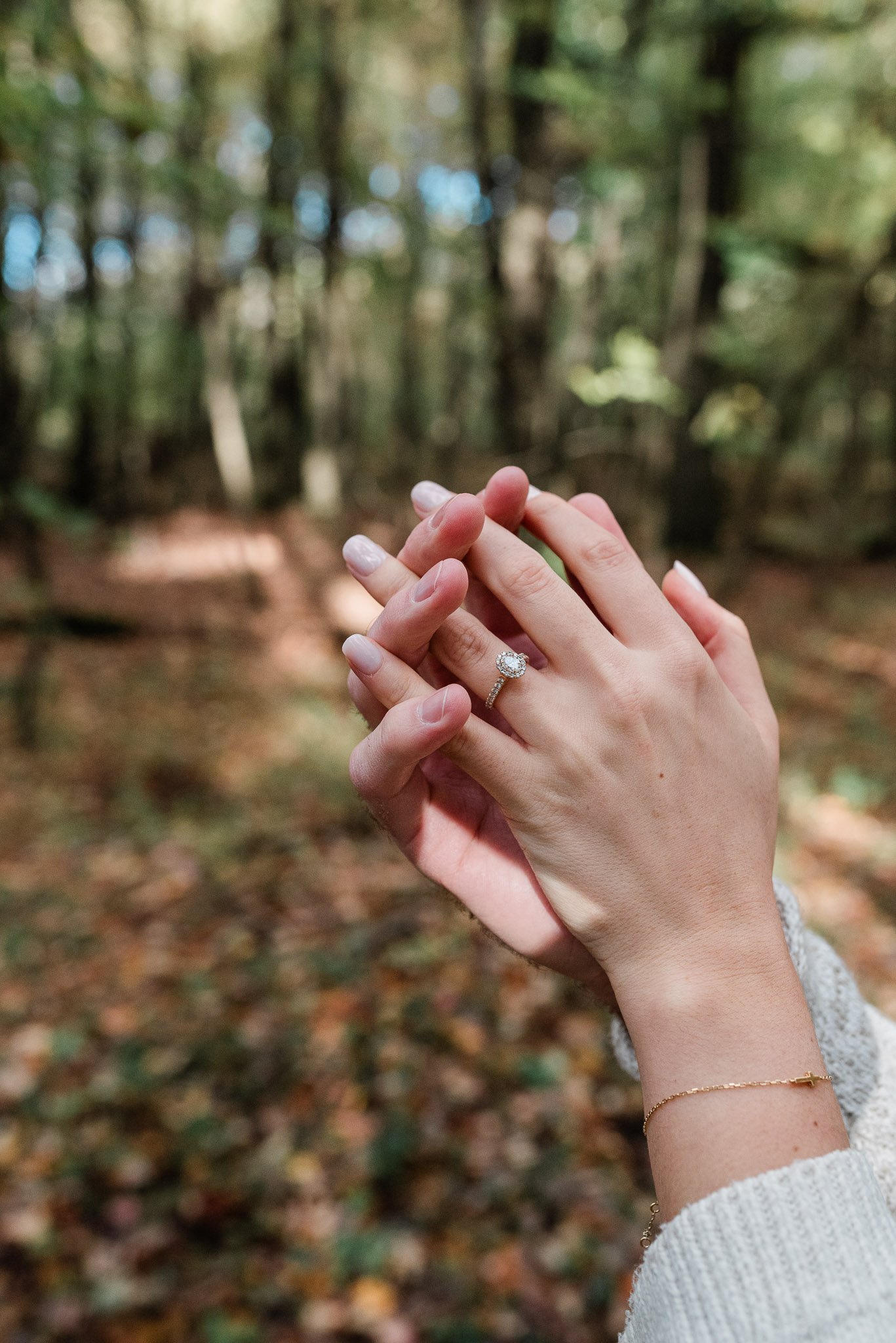 Pittsburgh Wedding Photographer, Erie Engagement Session, Mariah Fisher-3681.jpg