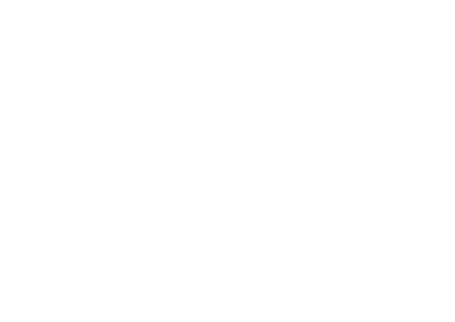 FLAVNT STREETWEAR