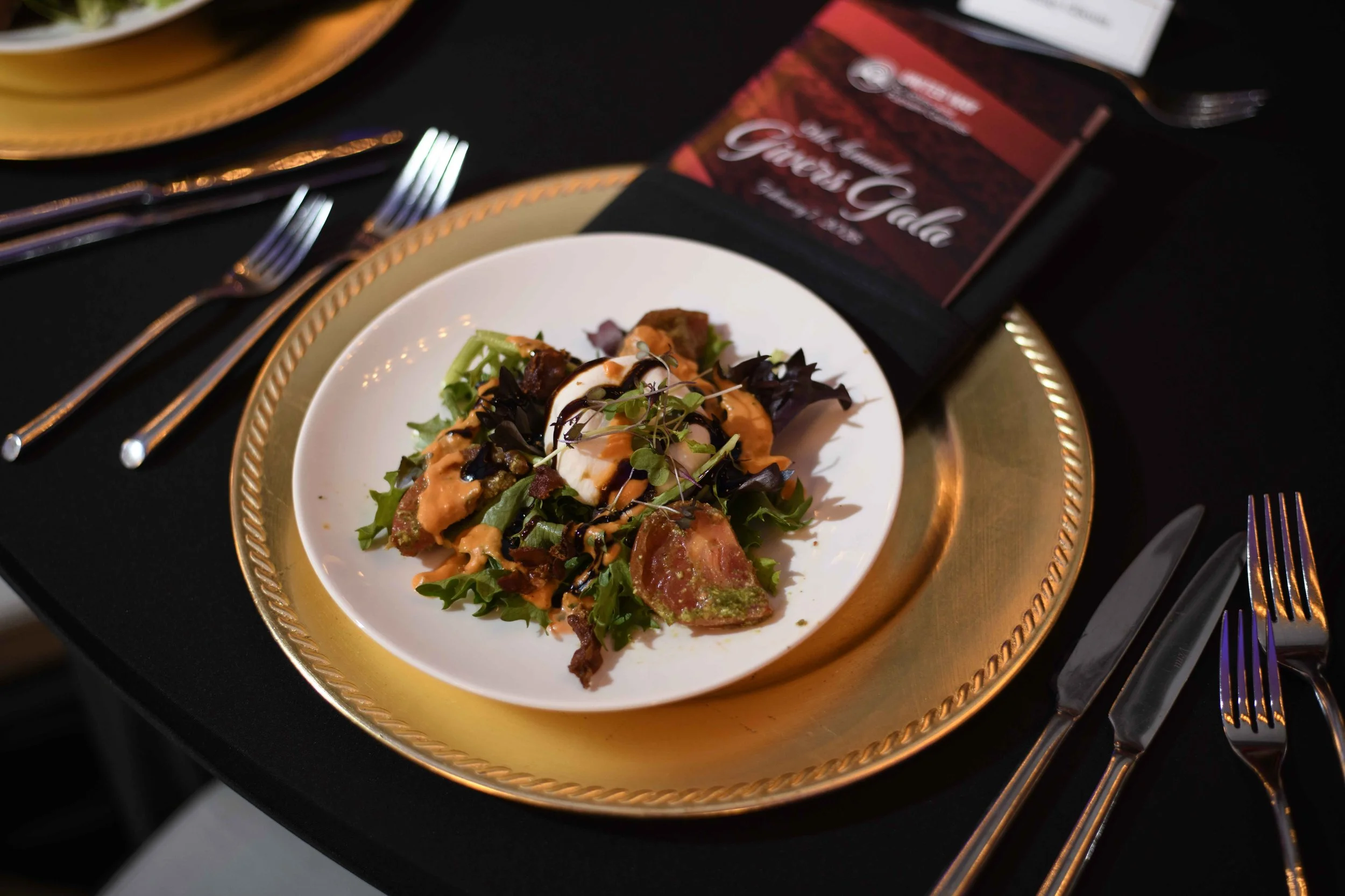 MonarchStudio26-United-Way-Gala-Embassy-Suites-DSC_4414.jpg