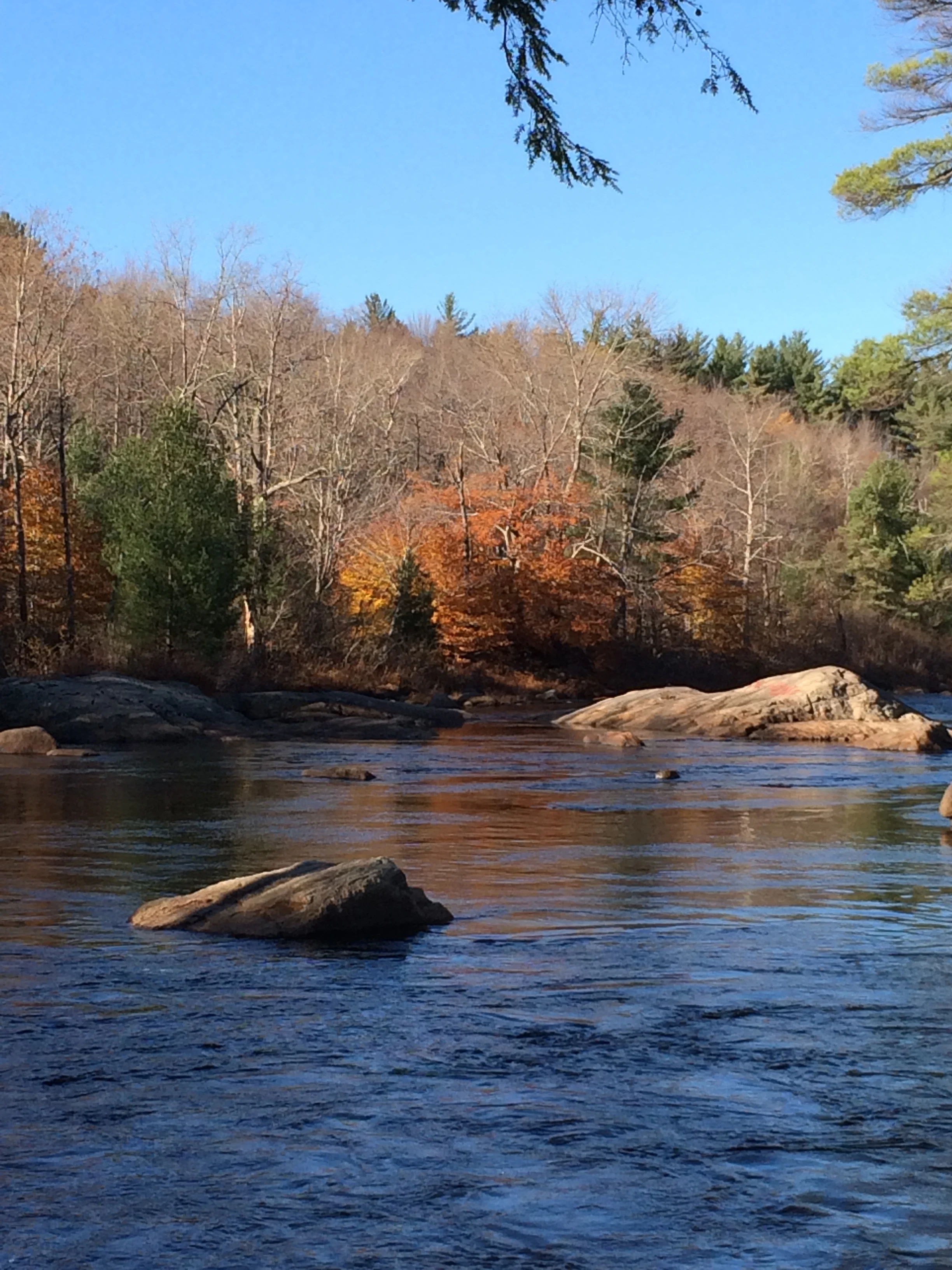 The River