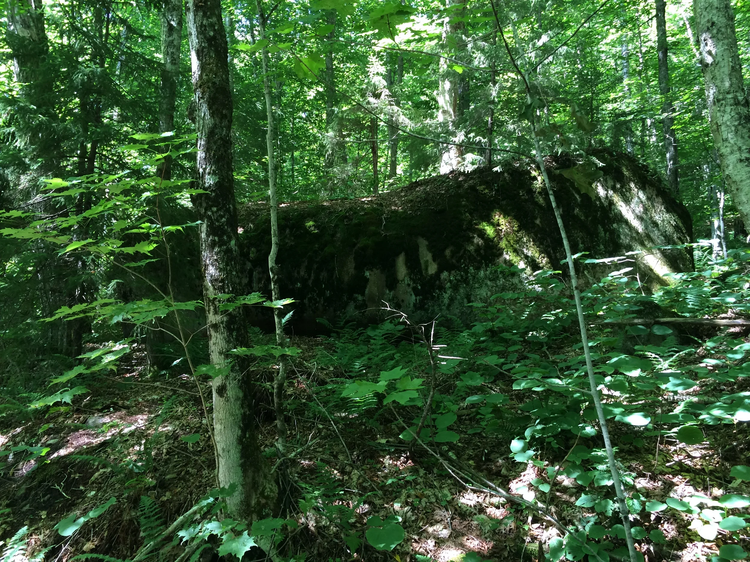 A Walk Around Moss Lake