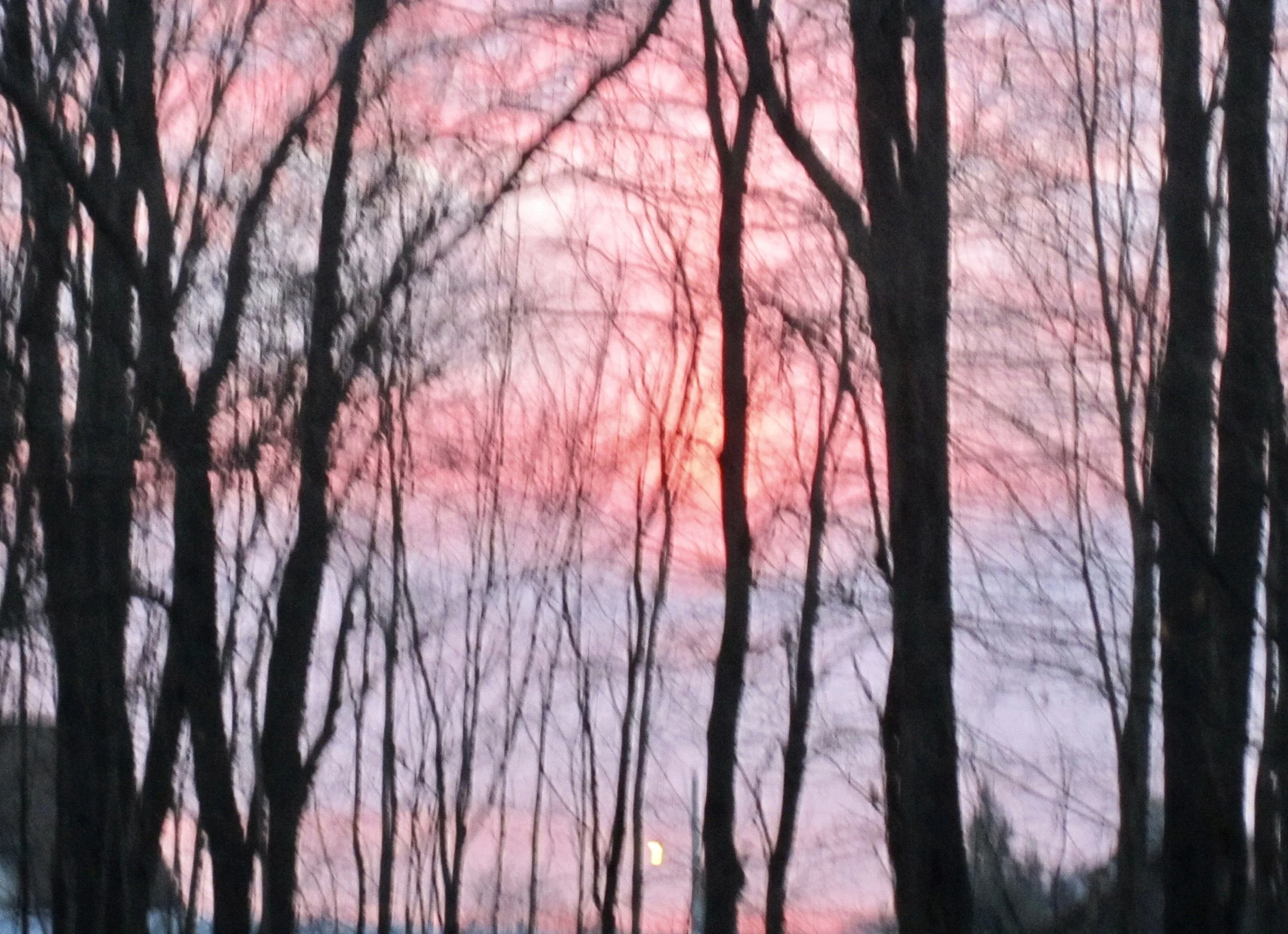 Maple Syrup and Change