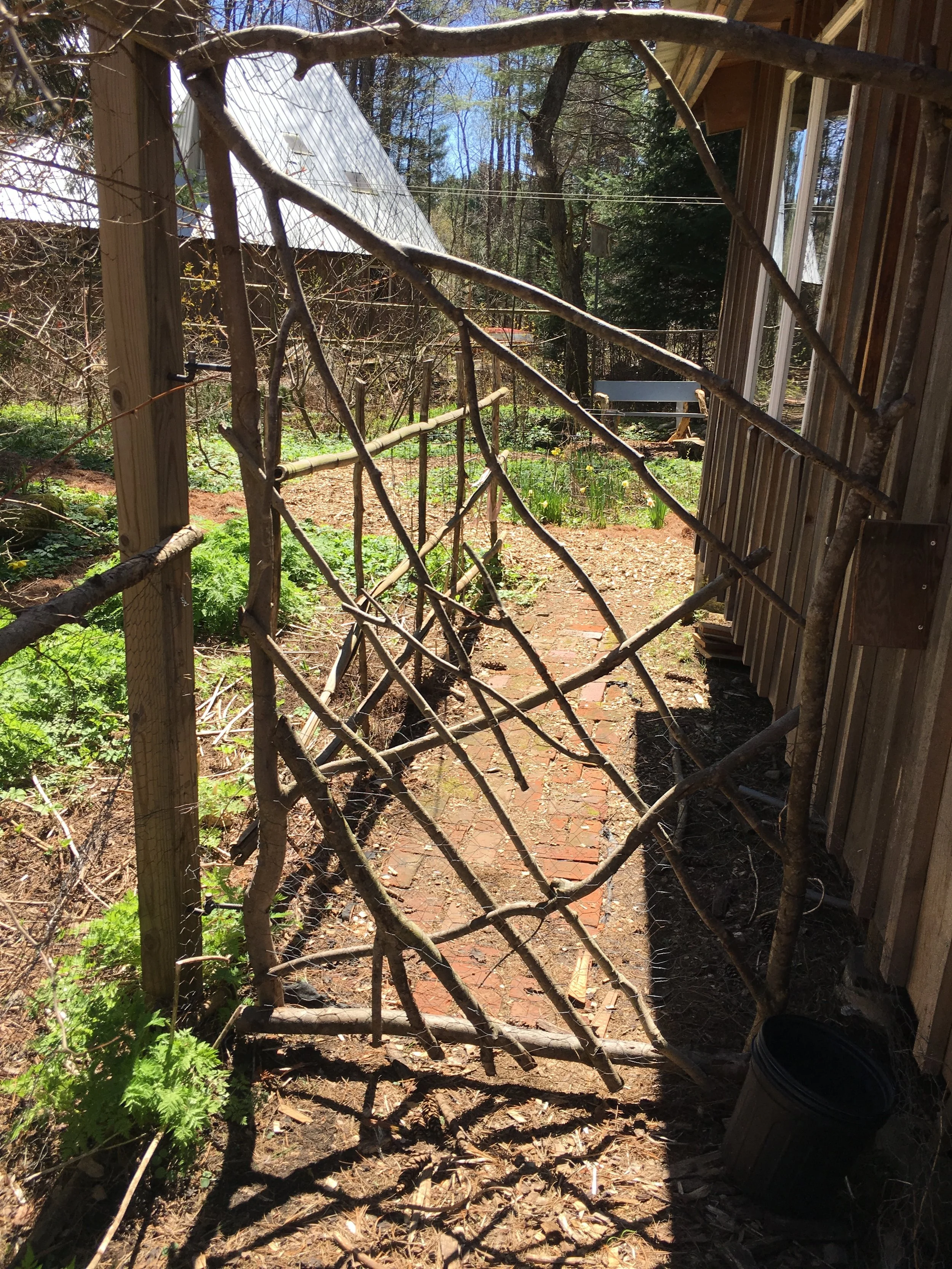 Weaving Home: A Song Beyond Words by Star Livingstone