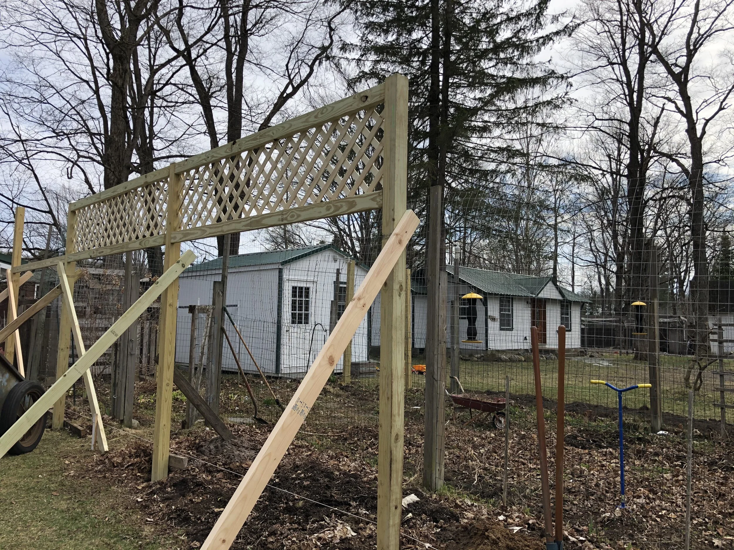 Garden Imagination Continued