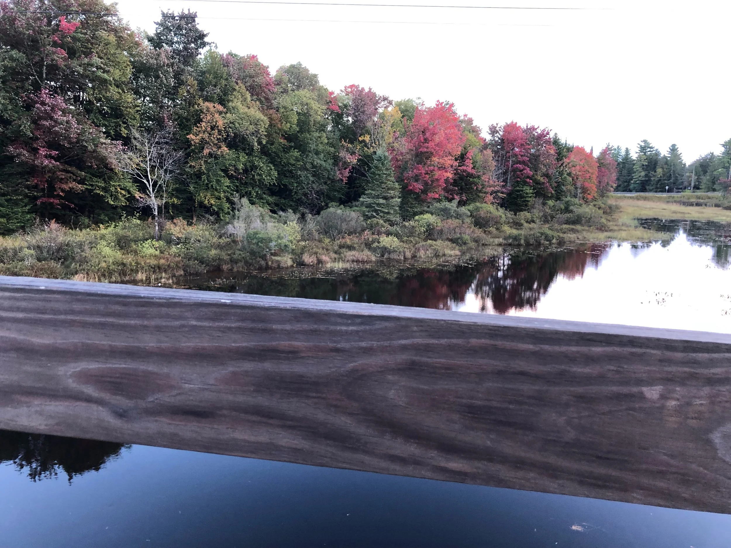 Ramble to the River: An Earth Day 2022 Celebration