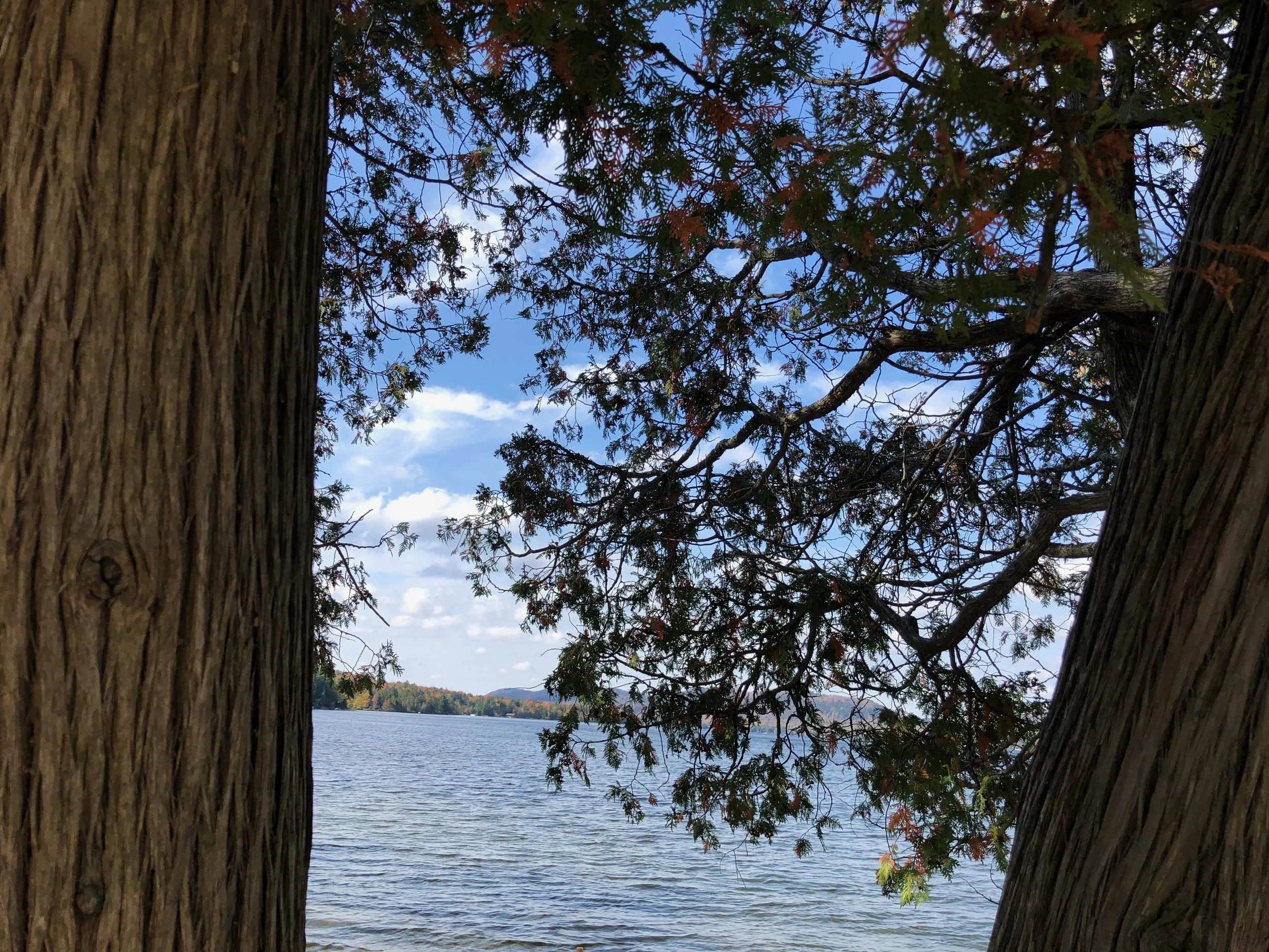 Moss Lake Hike & Visio Divina