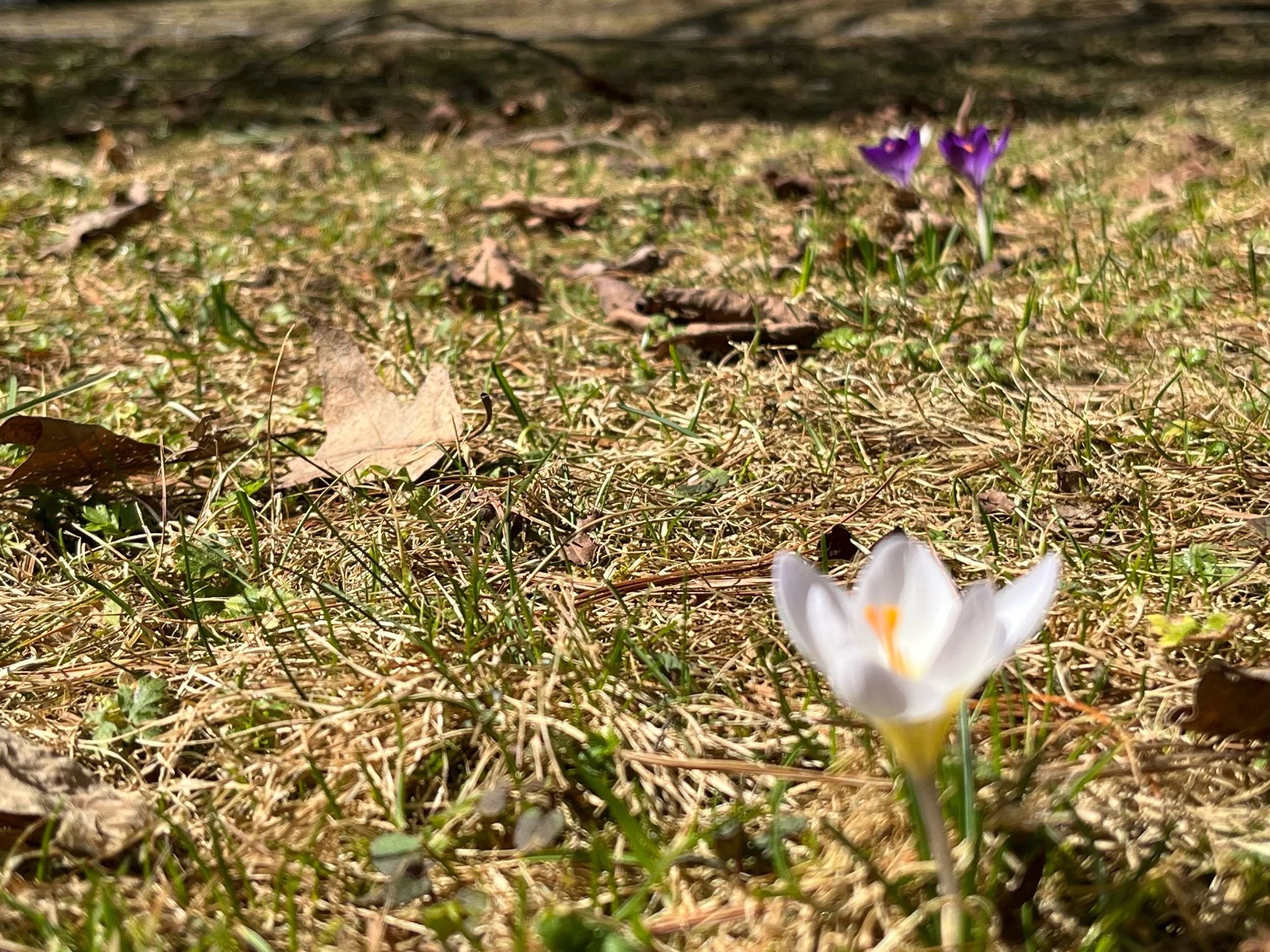 Weaving Threads of Change